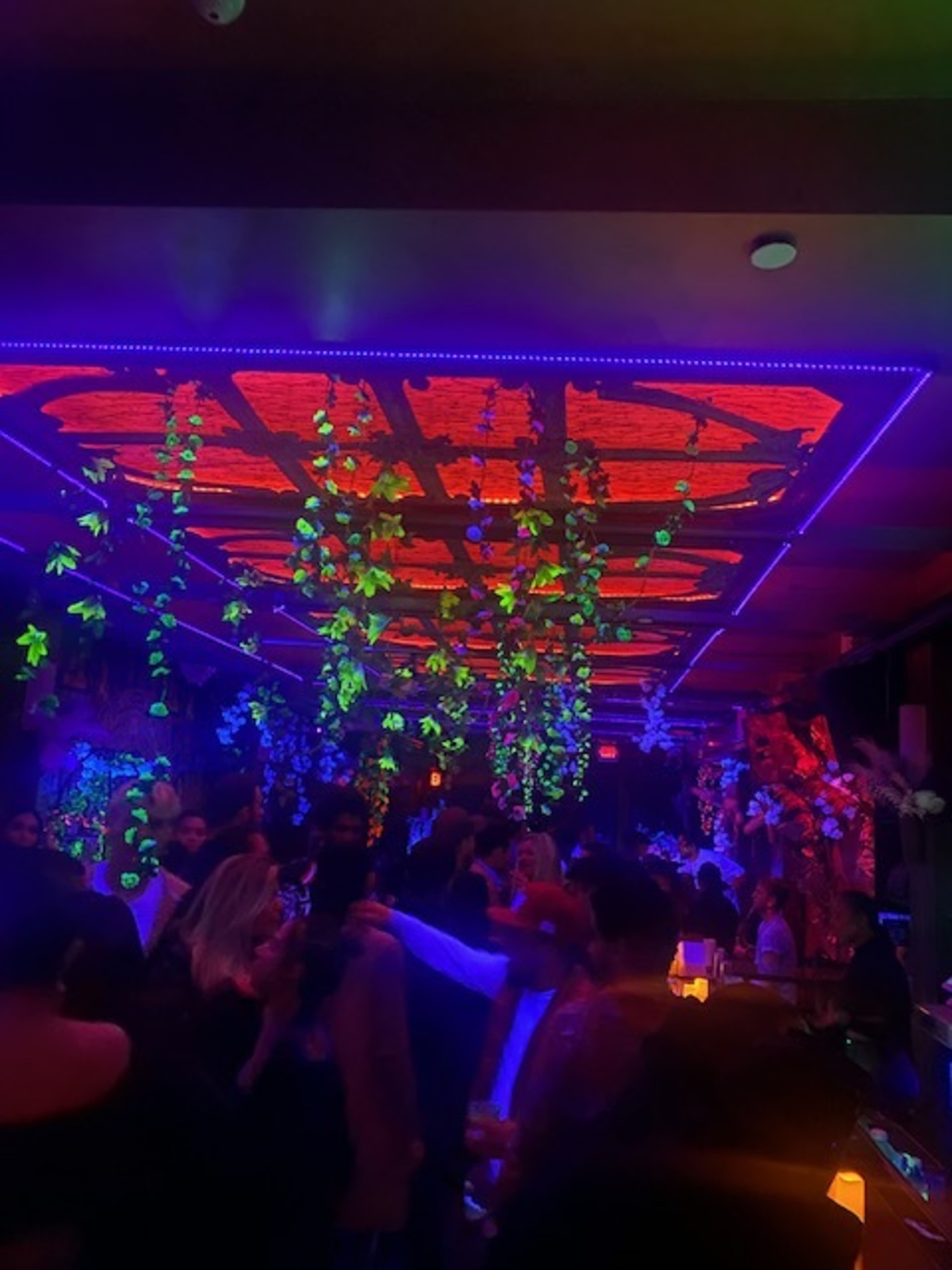 The scene shows a vibrant bar filled with people, adorned with colorful lights and hanging greenery from the ceiling.