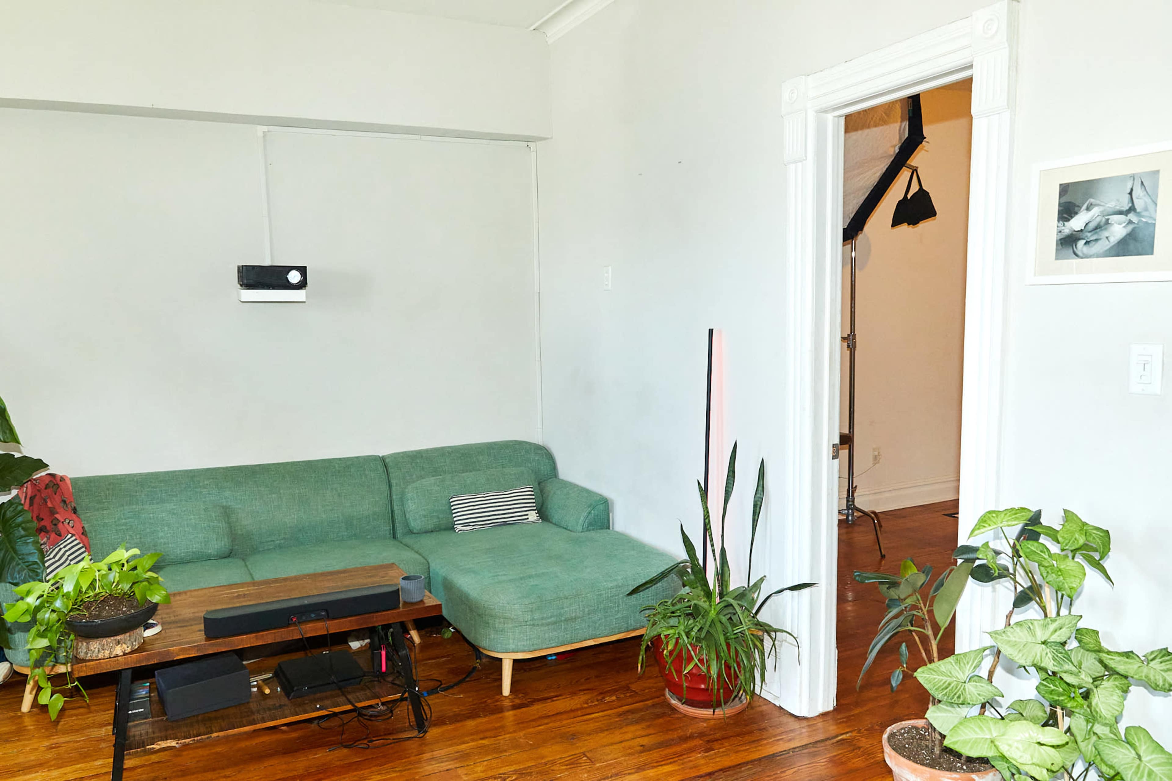 A green sectional sofa is positioned in a bright room with a wooden table, a small plant, and a black stand holding a backdrop.