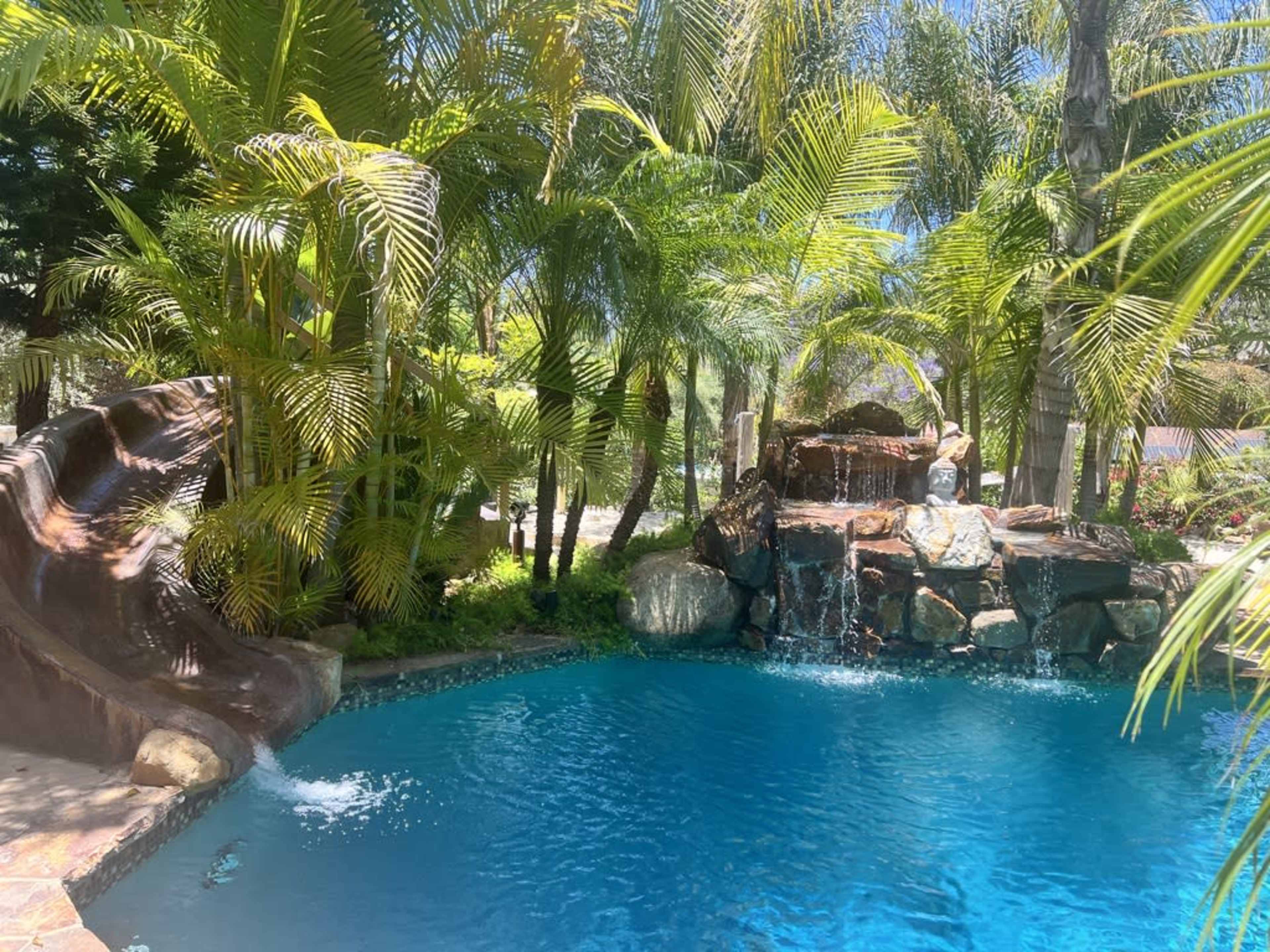 A swimming pool surrounded by lush palm trees features a waterfall and a water slide.