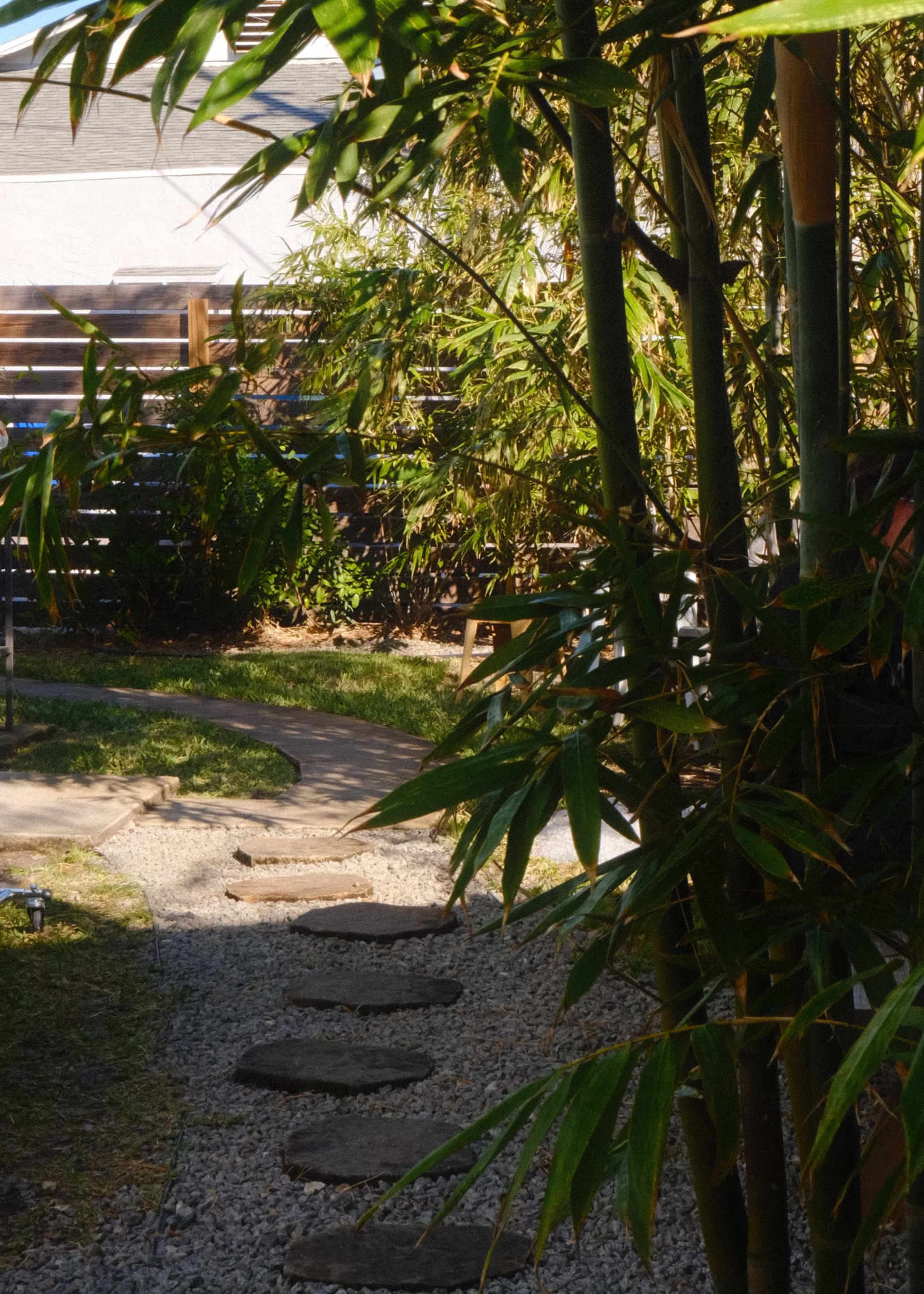 The image shows a pathway made of stepping stones leading through a garden with bamboo on either side.