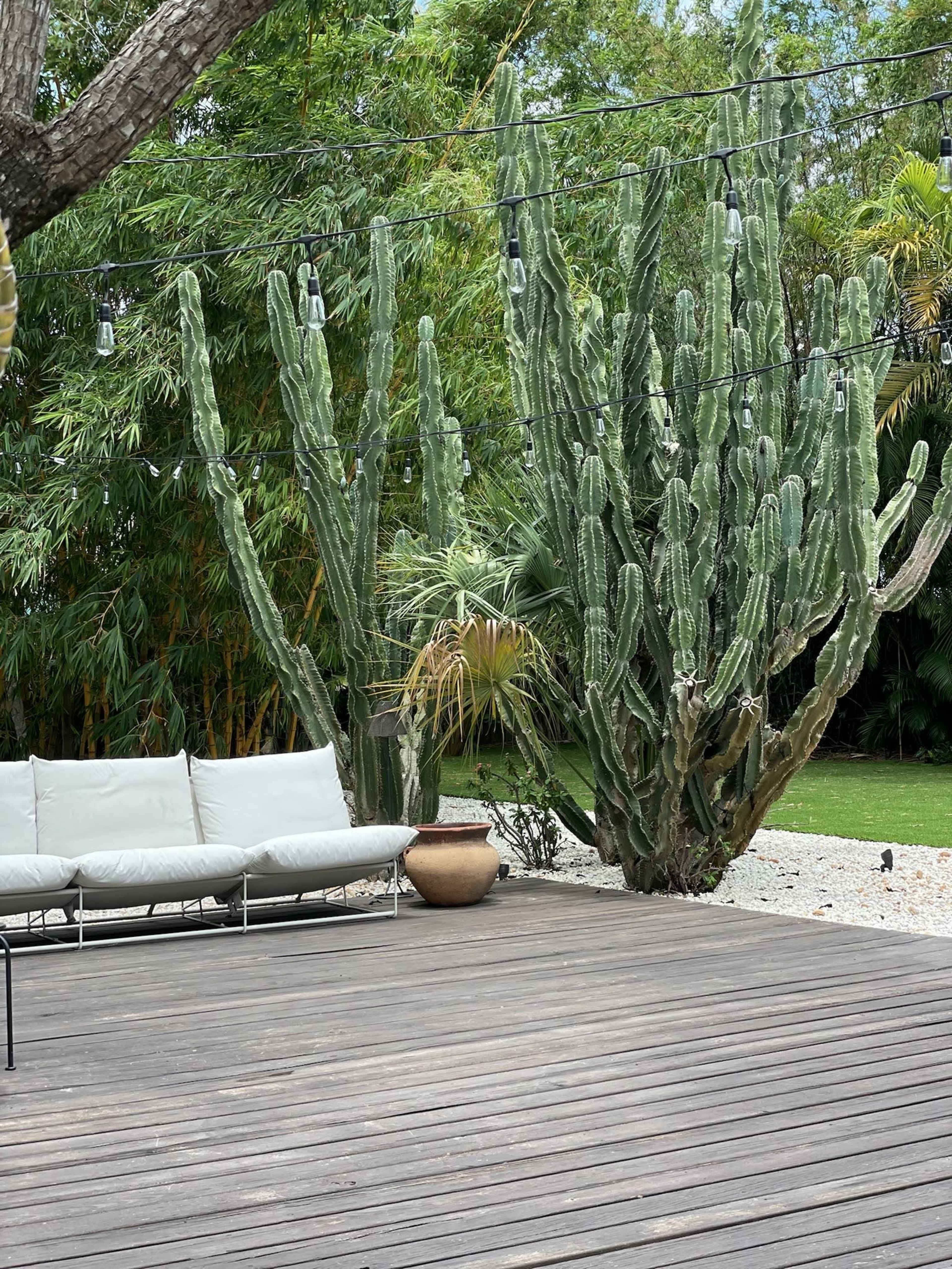A wooden deck features a light-colored sofa and a large cactus surrounded by lush greenery.
