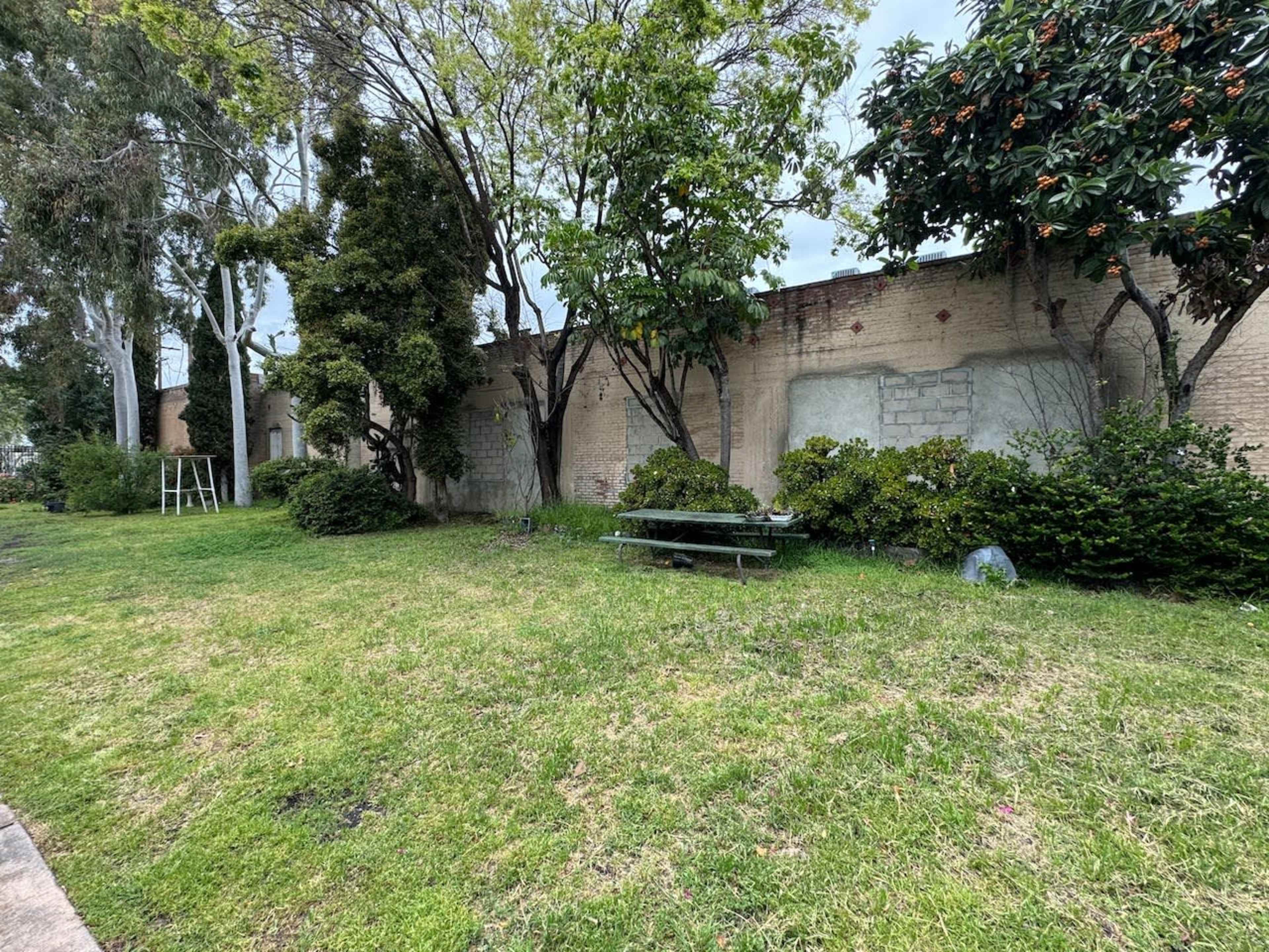 The image shows a grassy area with trees, a few shrubs, and a concrete wall in the background, along with a picnic table.