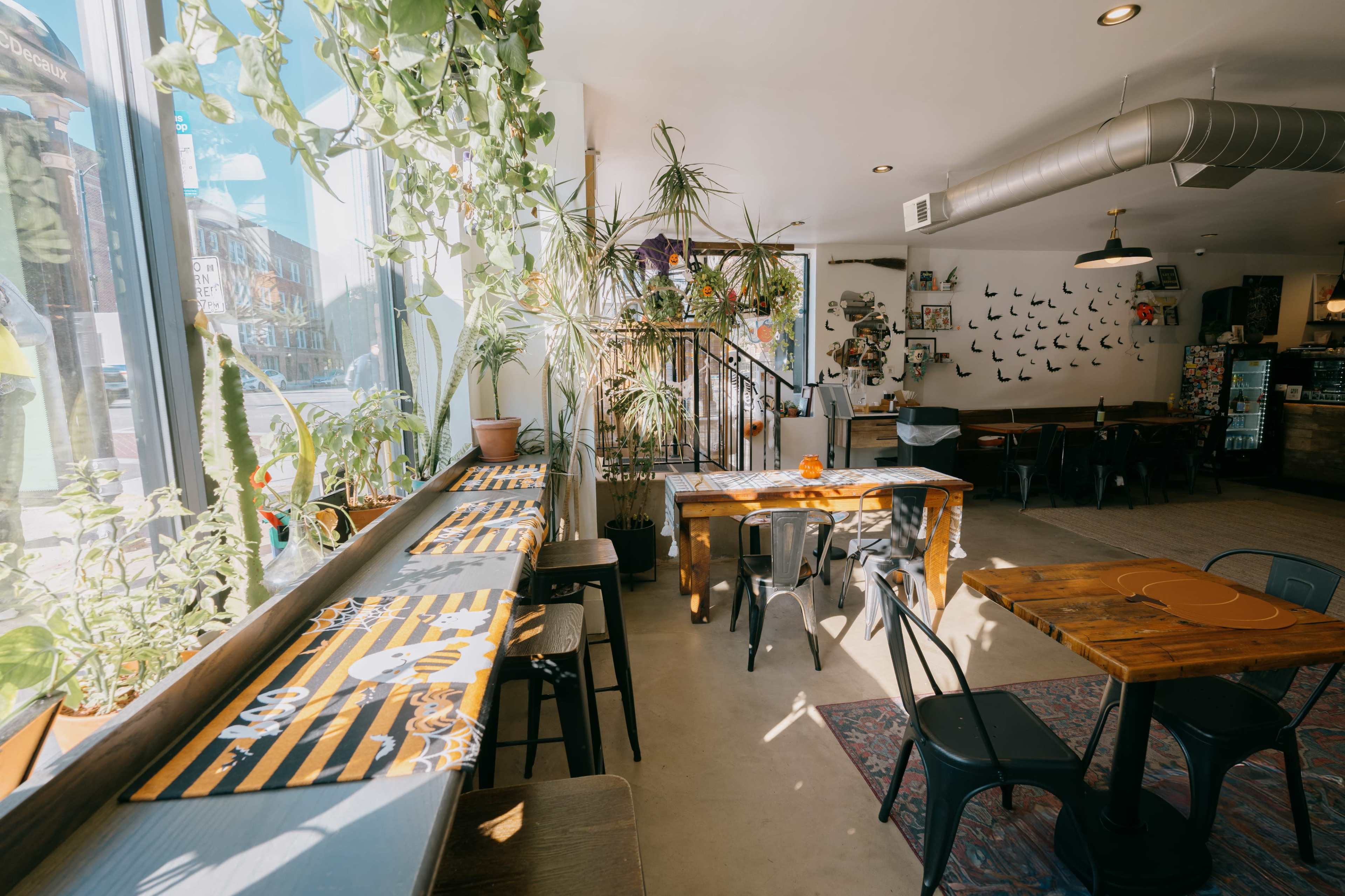 The image shows a bright café interior with plants near large windows, wooden tables, and a mix of black metal chairs.
