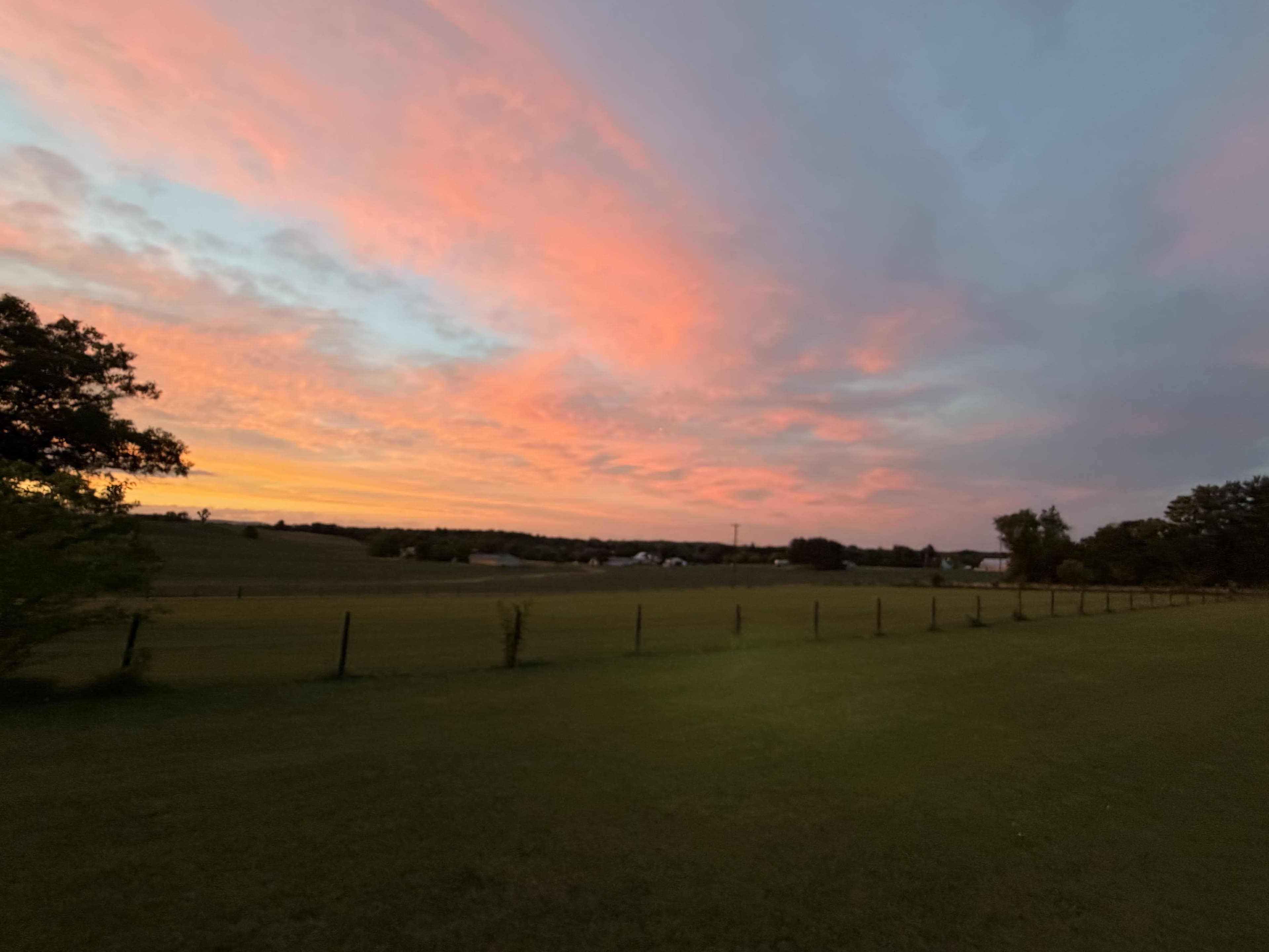 The image shows a wide-open field under a colorful sunset with shades of pink and orange in the sky.