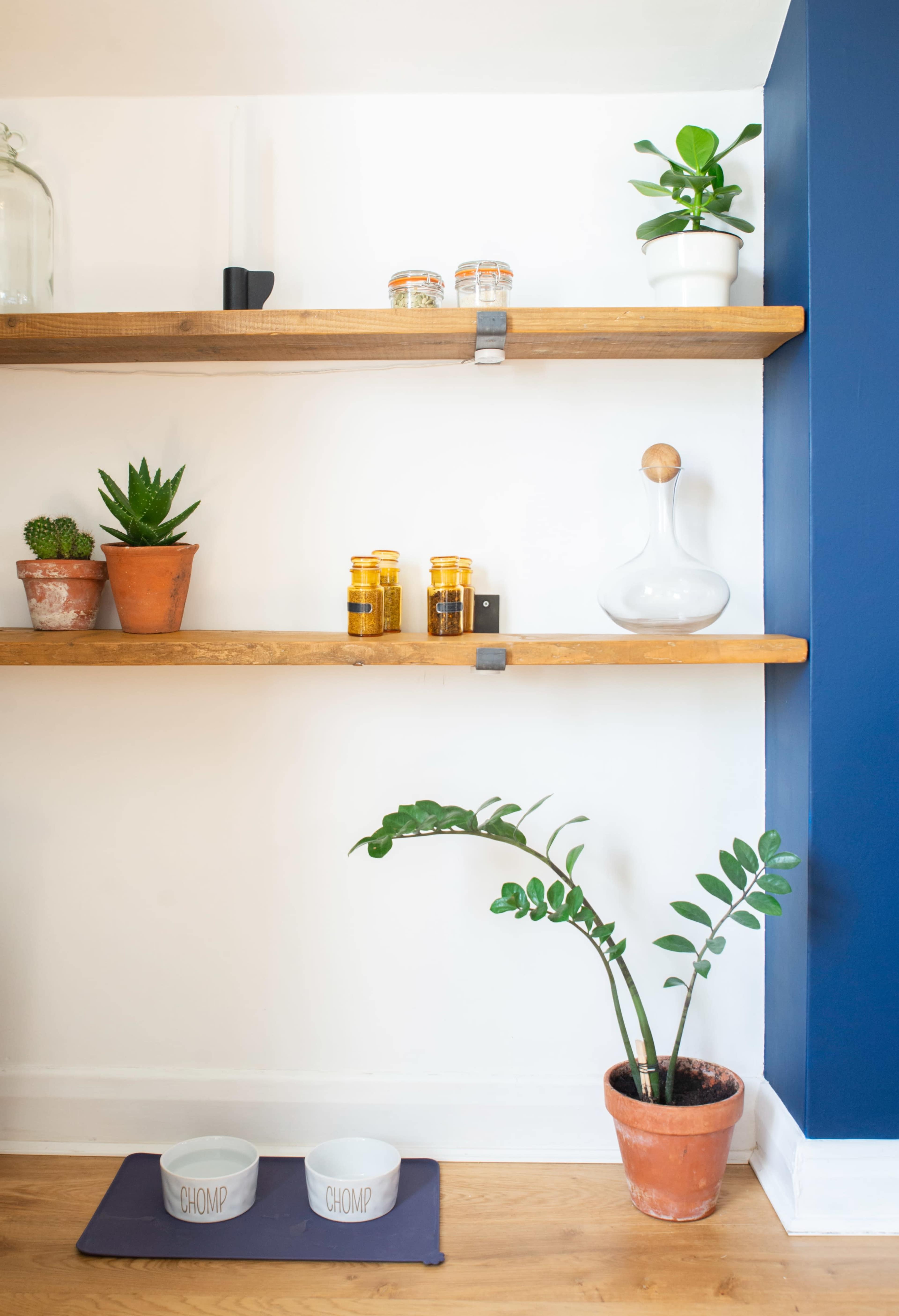 Wooden shelves displaying various plants and jars, with two pet bowls labeled "CHOMP" placed on a mat at the bottom.