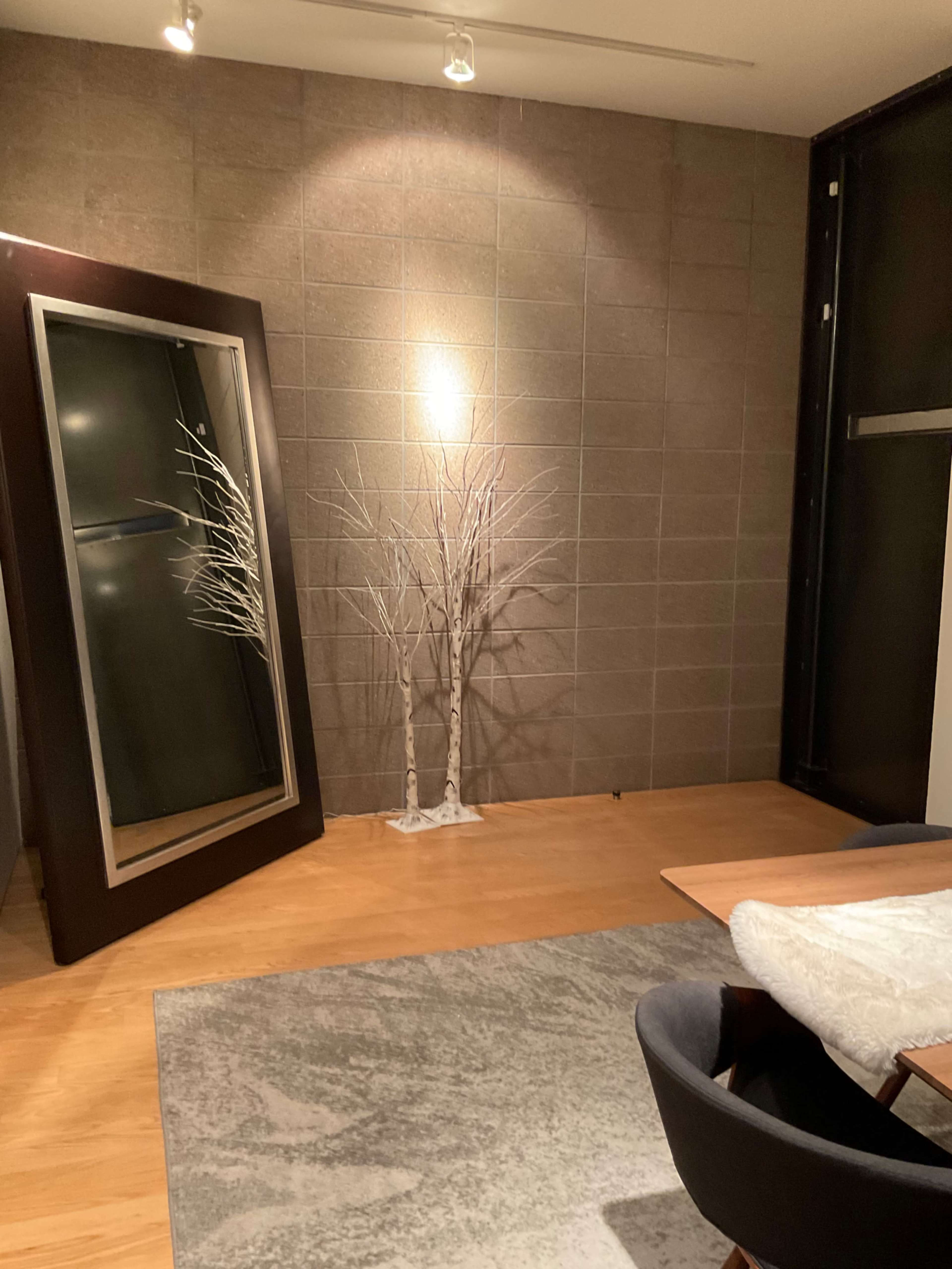 The image shows a modern interior space featuring a large mirror, a minimalist tree with white branches, and a wooden floor.