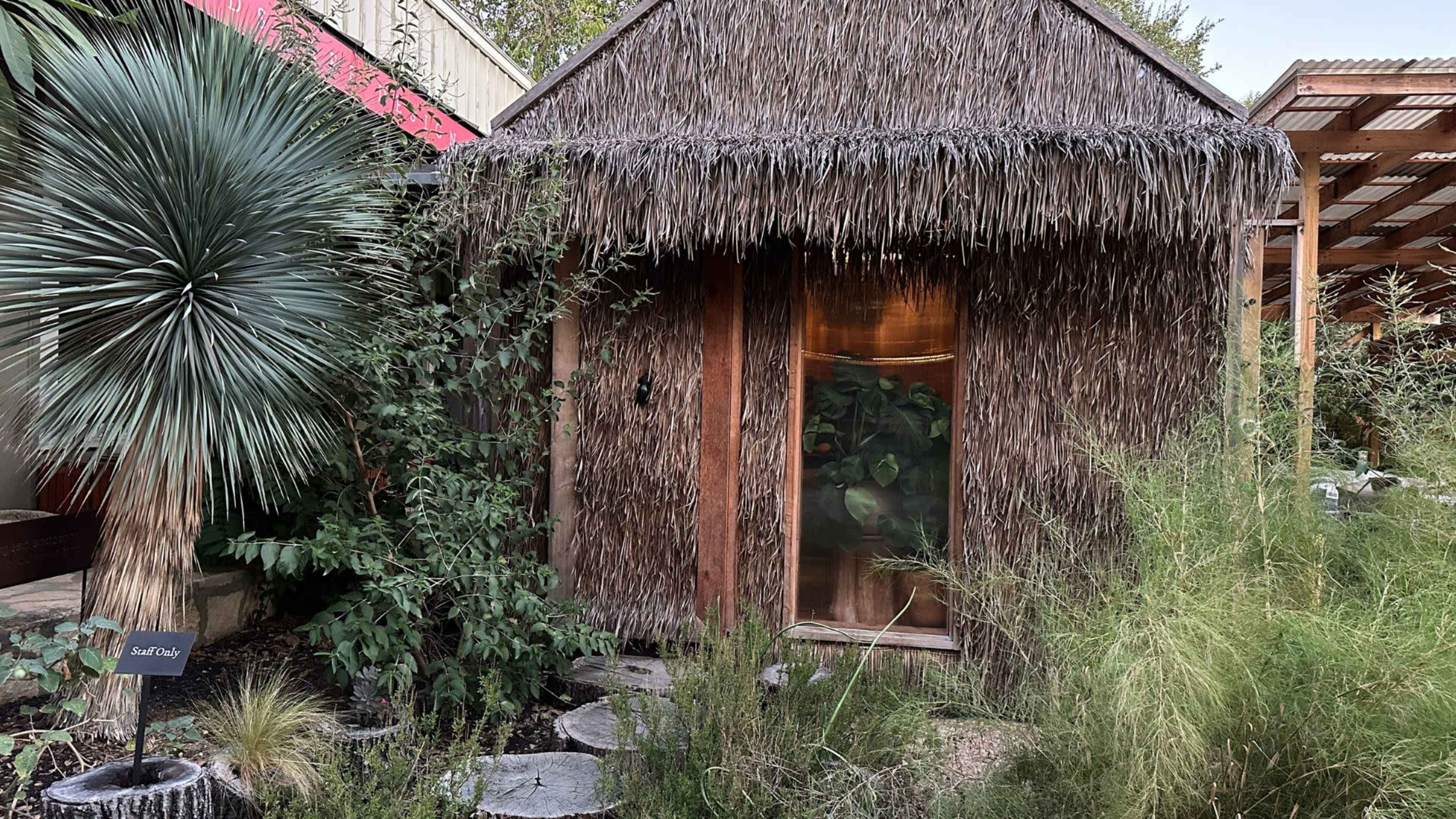 A thatched roof building with wooden doors is surrounded by various plants and vegetation.
