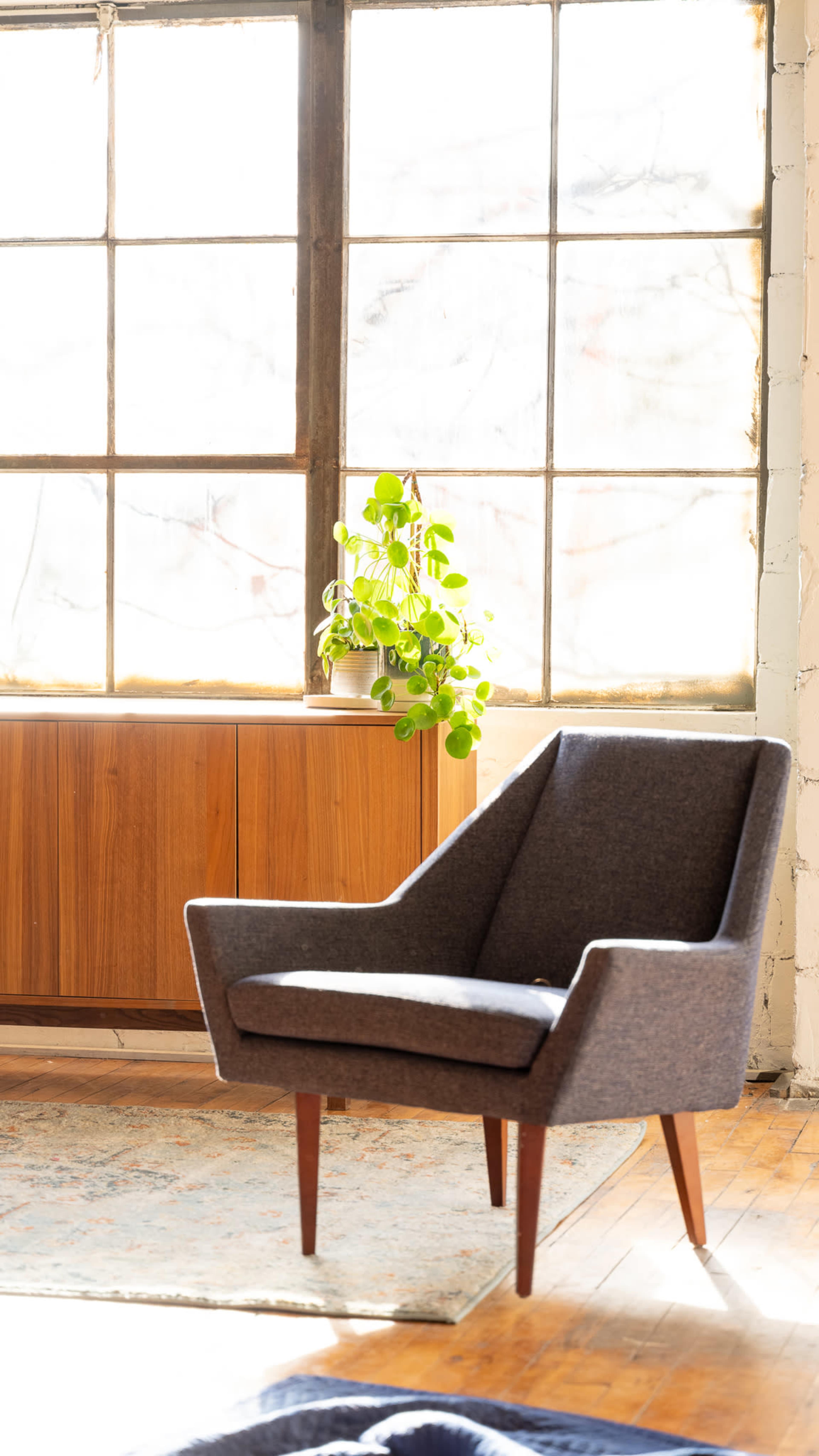 A mid-century modern chair with dark fabric sits in a sunlit room beside a wooden cabinet and a green potted plant near a large window.