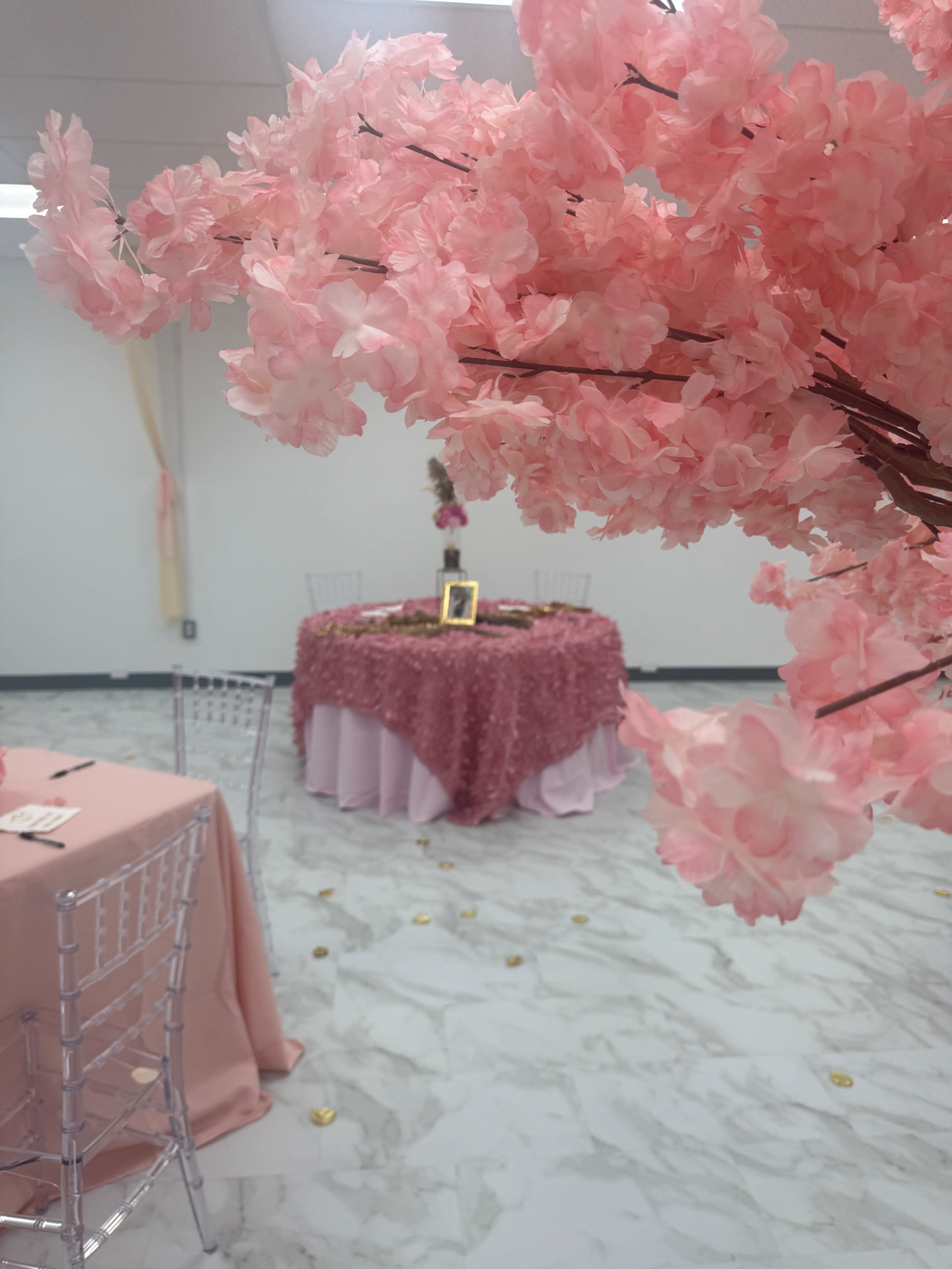 Modern Event Space Image in Lemay Township, St. Louis, MO