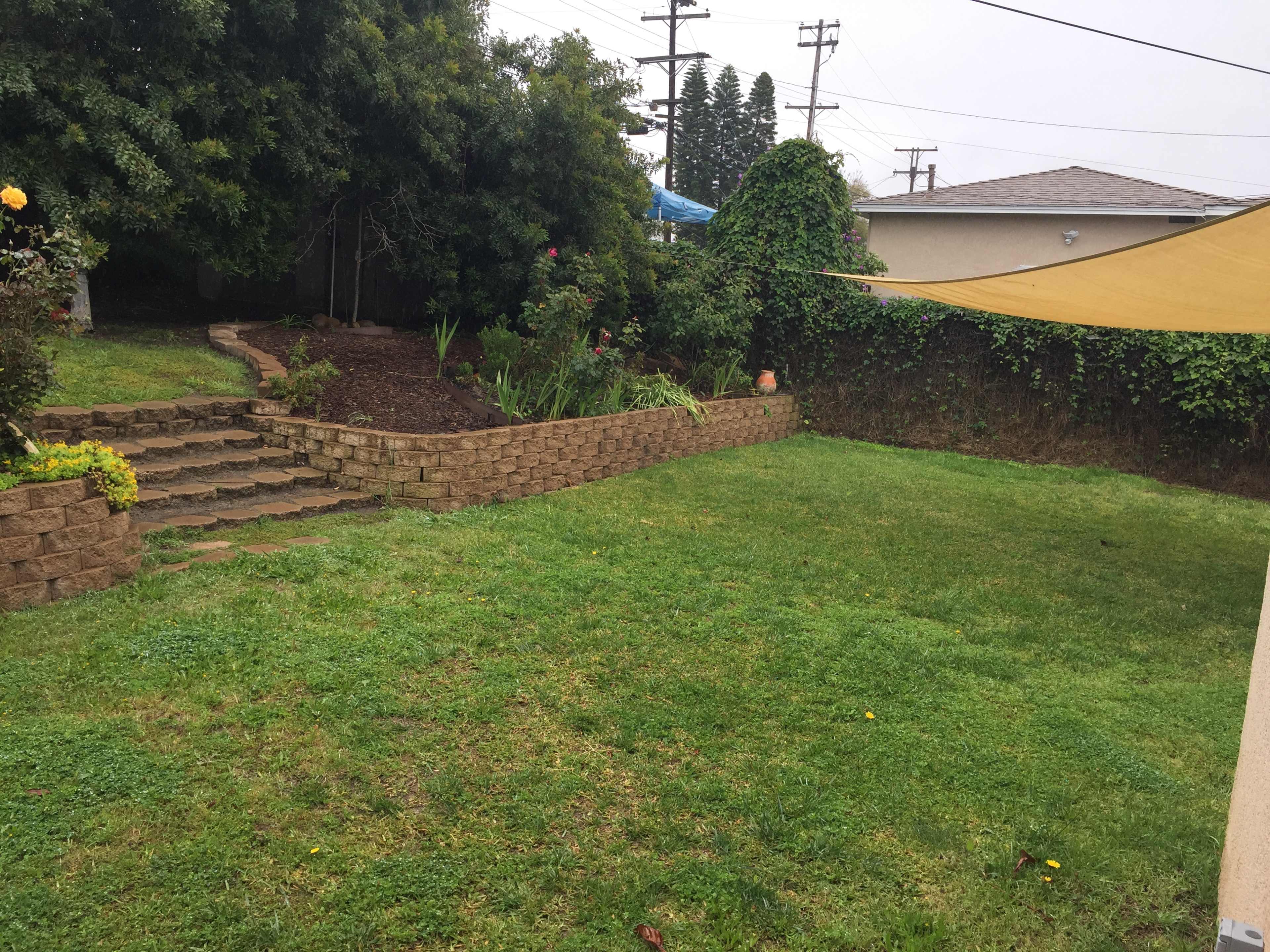 A grassy backyard with a stone staircase leading up to a garden area surrounded by various plants and a shaded section on the right.