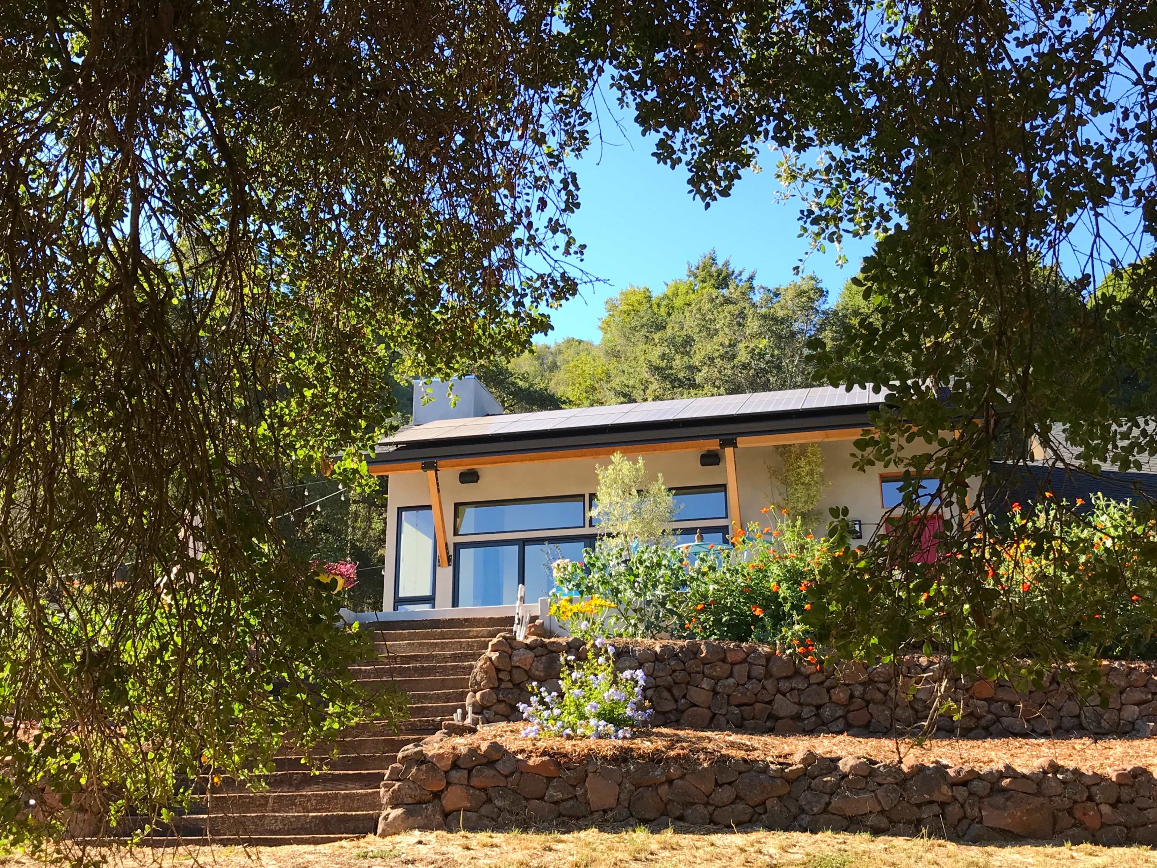 A modern house is framed by trees and surrounded by a landscaped garden with stone steps leading up to it.