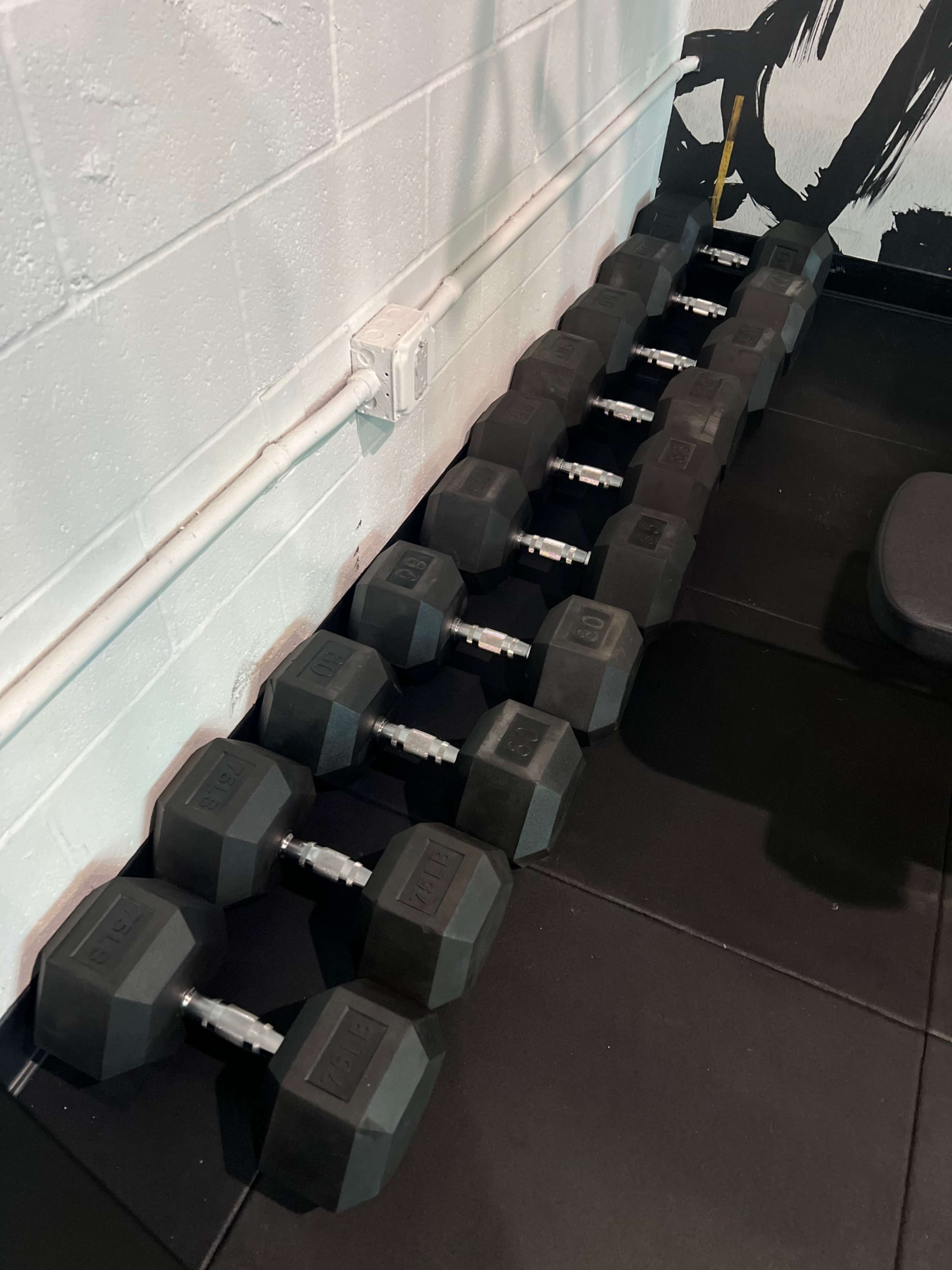 A neatly arranged row of black dumbbells is placed against a white wall in a gym.