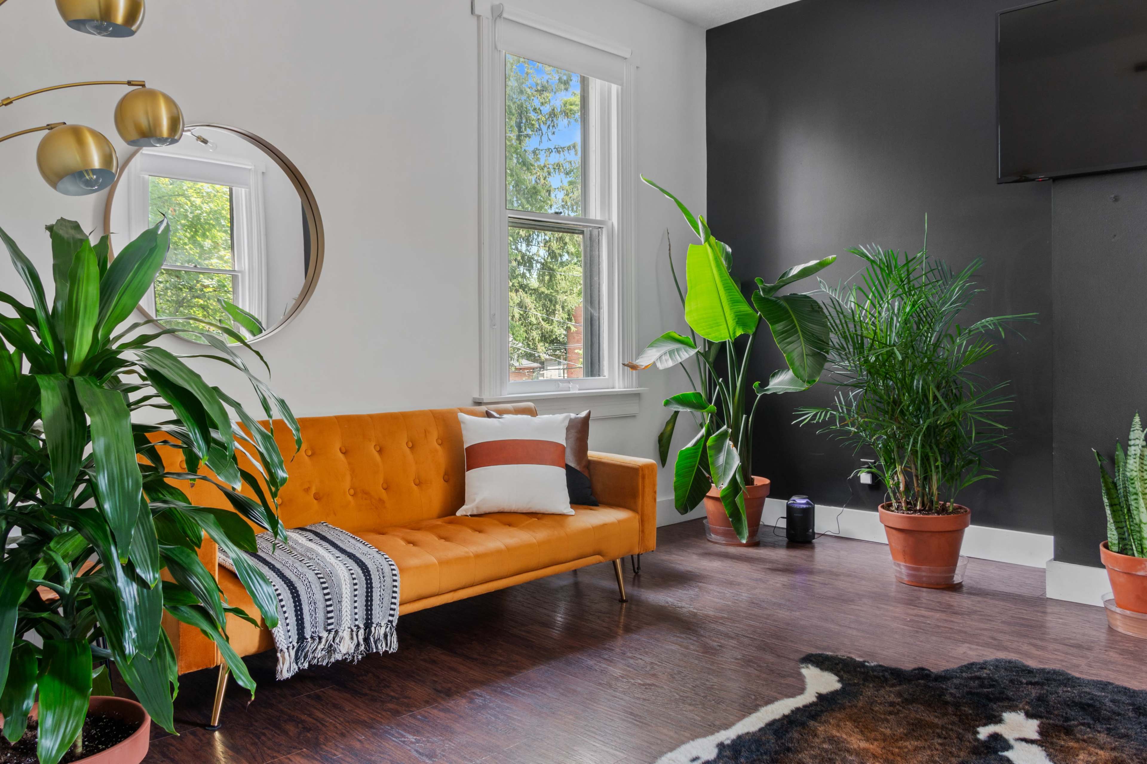 A bright living room features an orange couch with white and brown cushions, surrounded by various potted plants and a large wall-mounted television.
