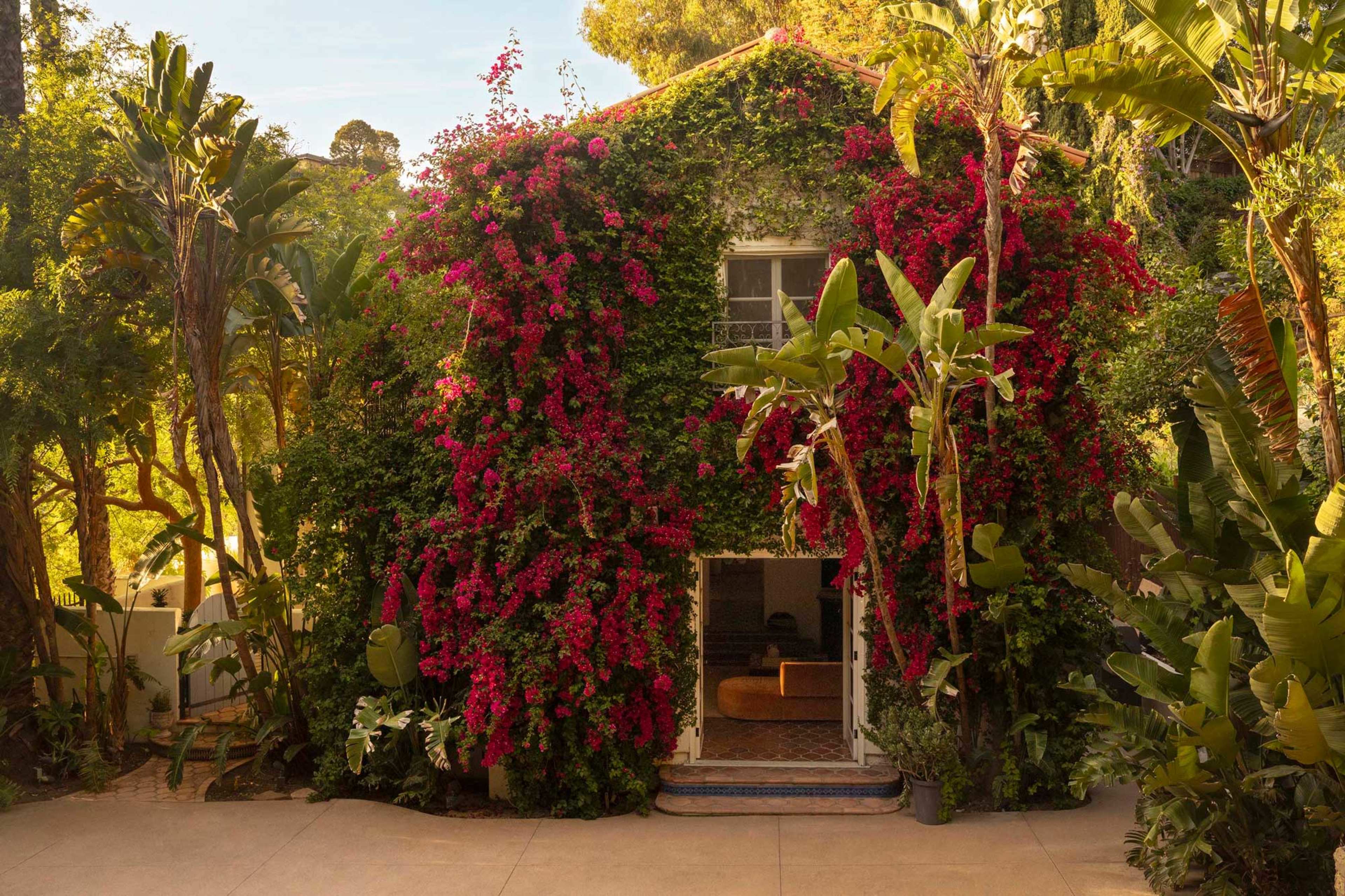 A house covered in vibrant bougainvillea and surrounded by tropical plants.
