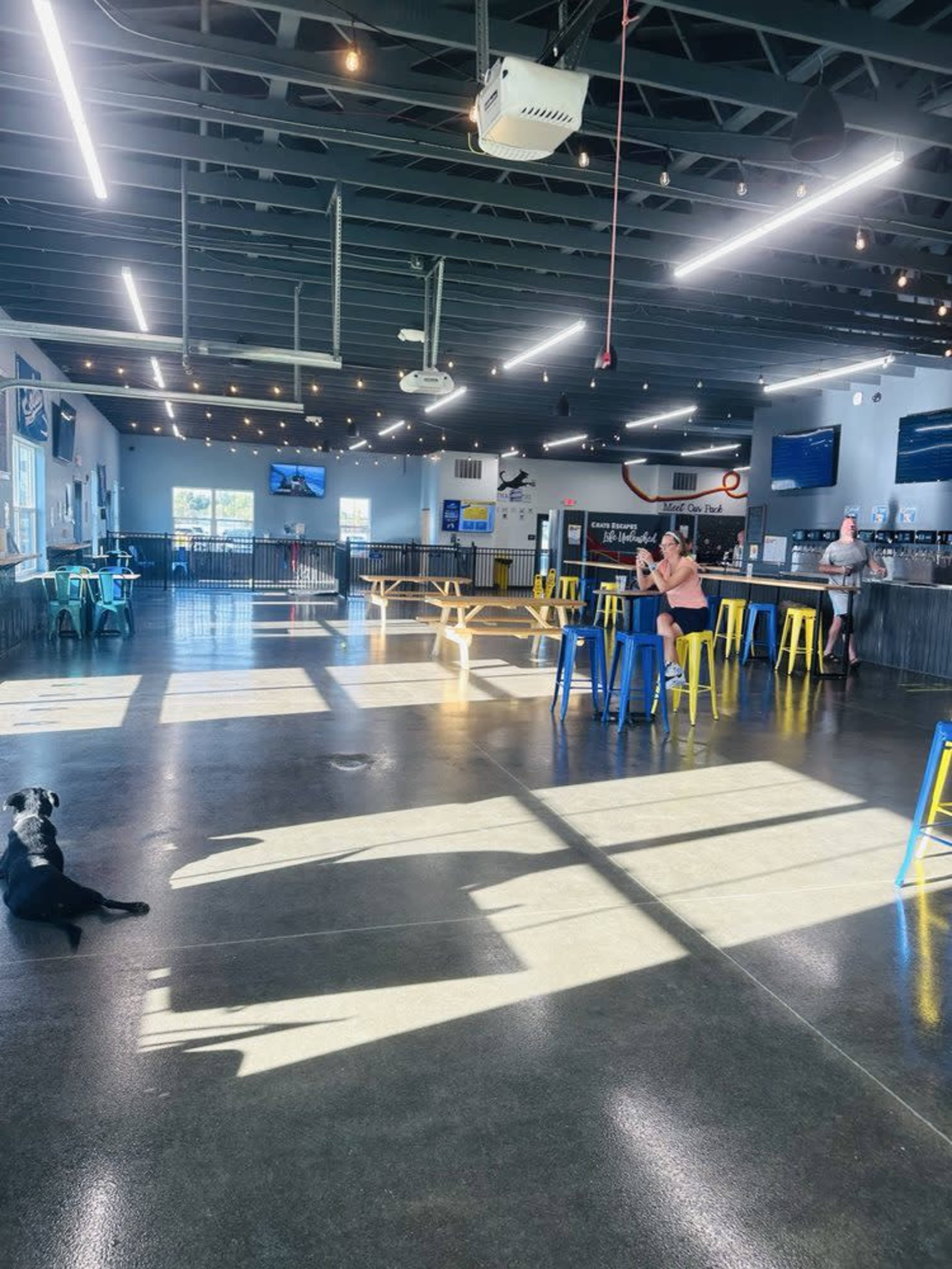 The image shows a spacious indoor area with colorful tables and chairs, a few patrons, and a dog sitting on the floor, all illuminated by sunlight streaming through large windows.