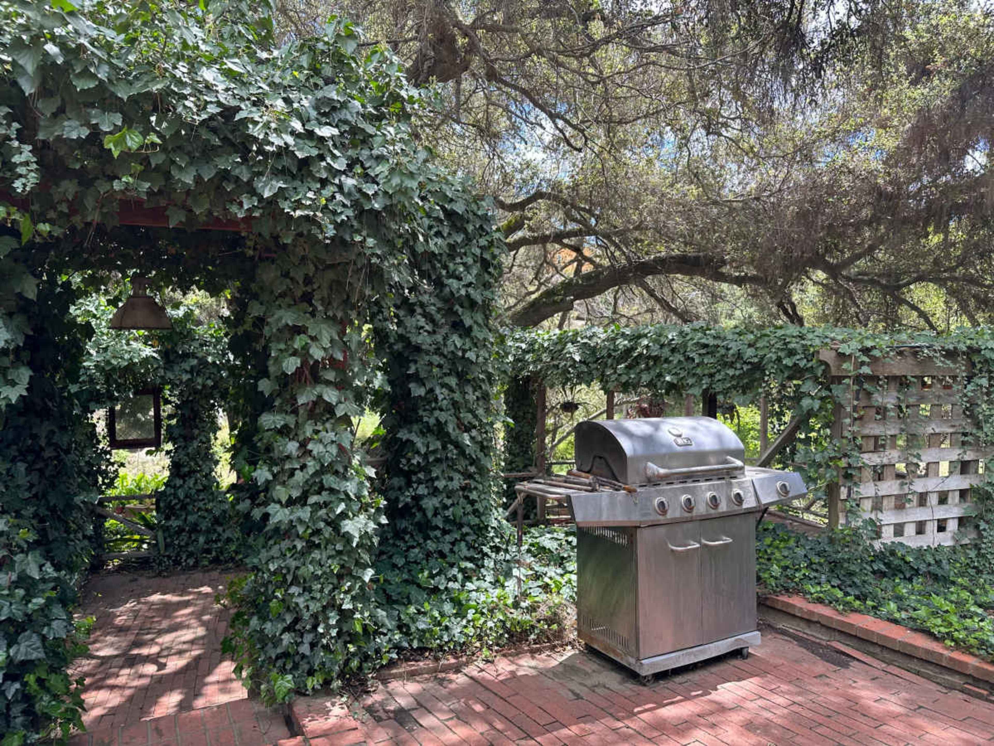 A stainless steel grill is positioned under a canopy of ivy in a landscaped outdoor area with brick pathways.
