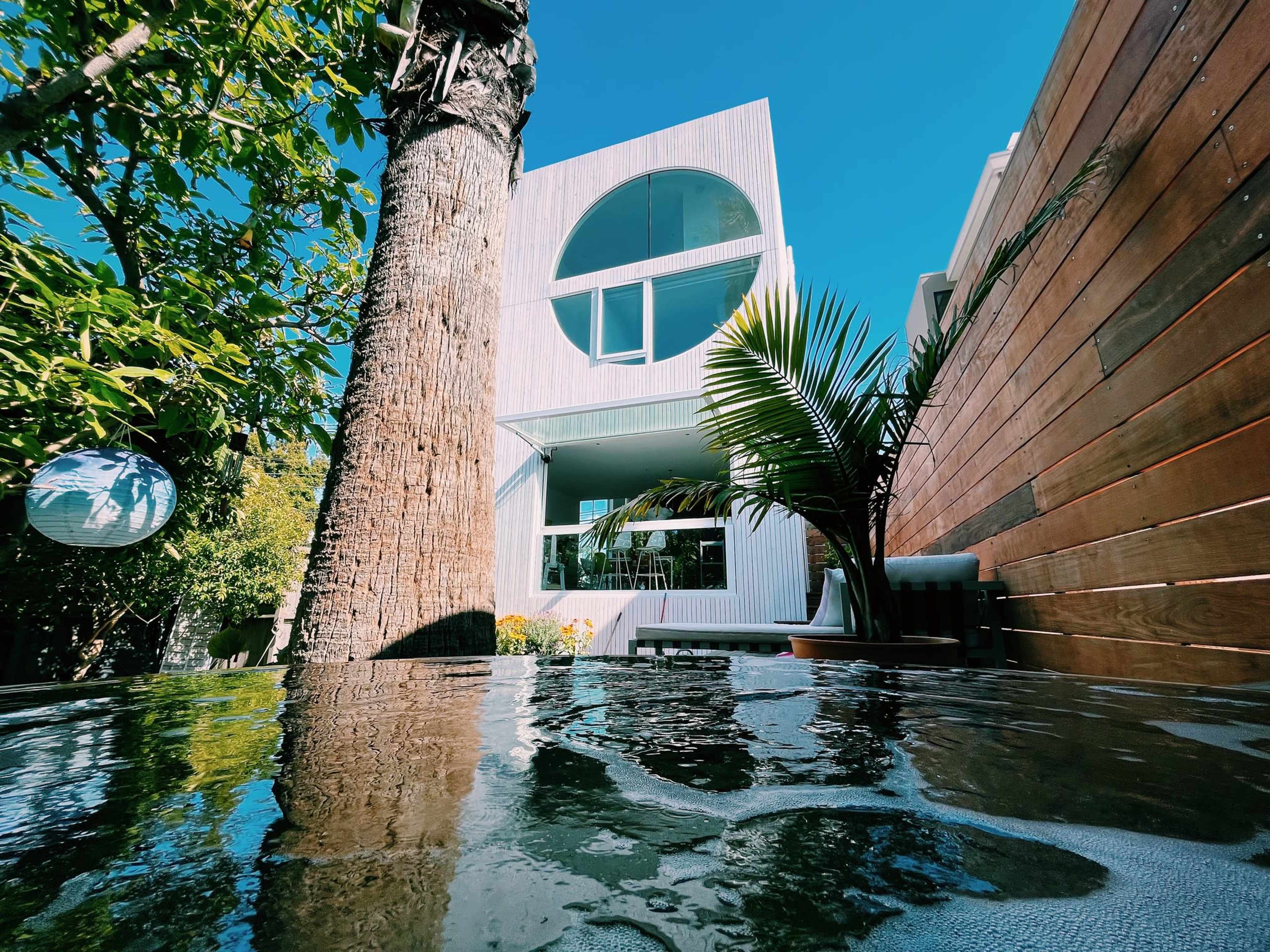 A modern white house with large windows is visible behind a swimming pool, surrounded by tropical plants and a wooden fence.