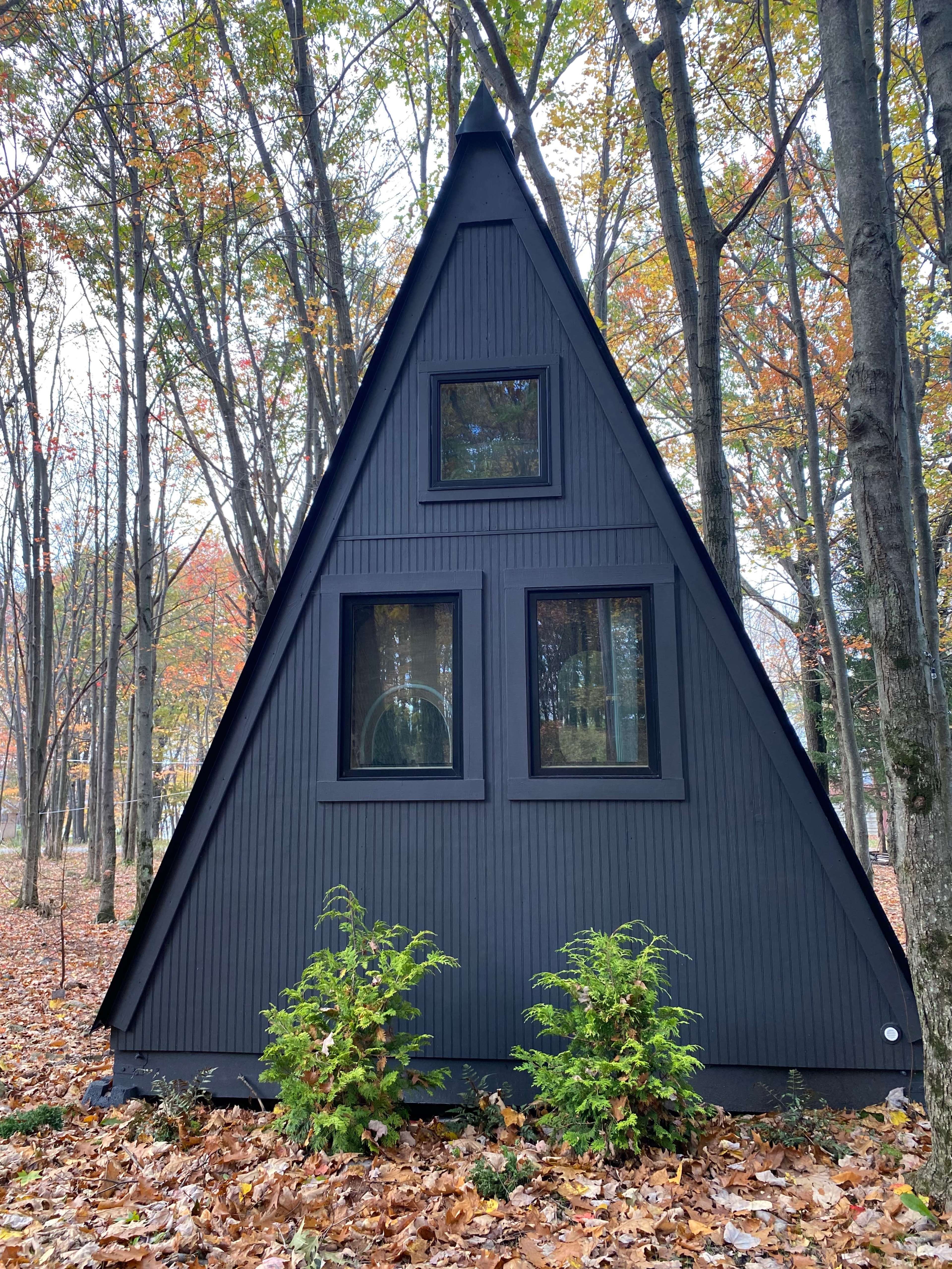 A black, A-frame house with three windows stands among trees in a wooded area covered with fallen leaves.