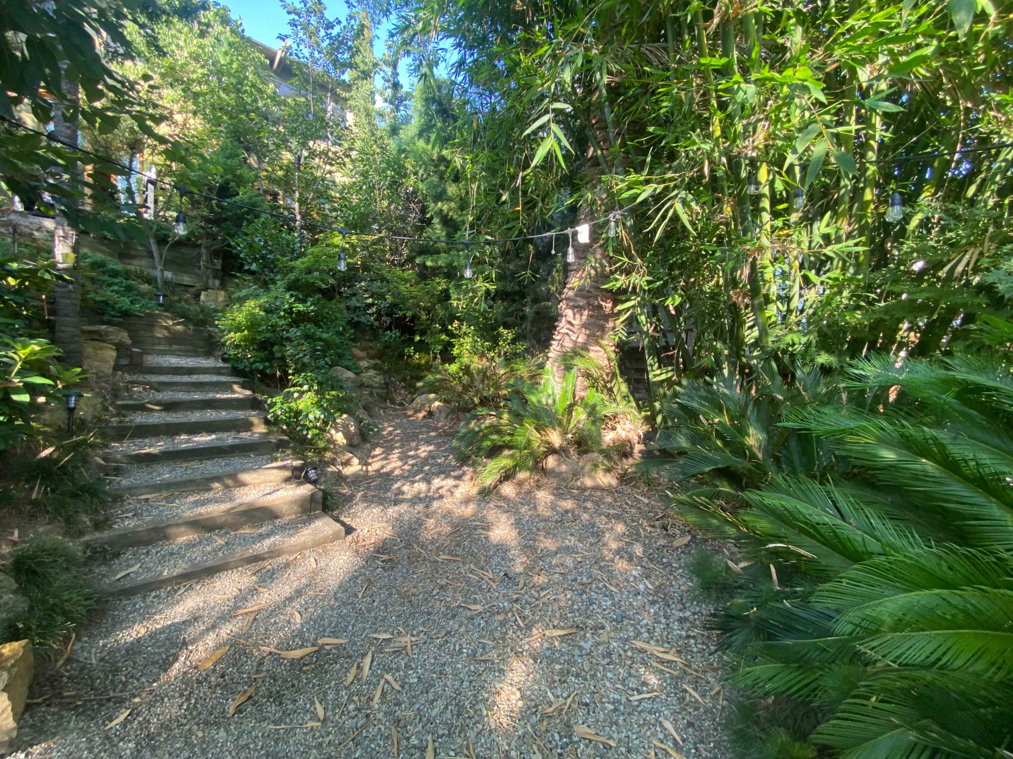 The image shows a landscaped garden pathway with stone steps leading through greenery and bamboo plants.