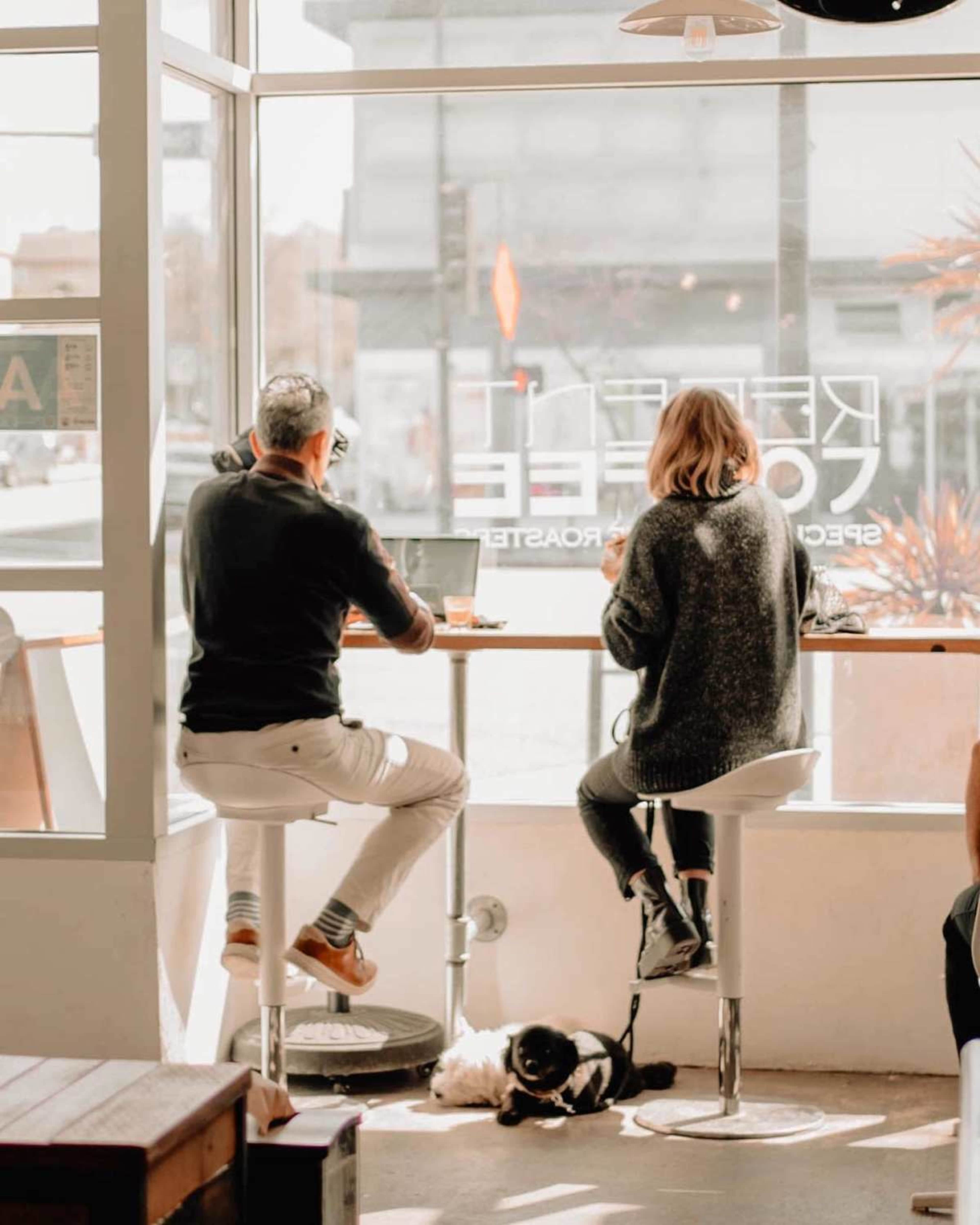 Two people sit at a counter in a coffee shop, each working on laptops while a small dog rests on the floor nearby.