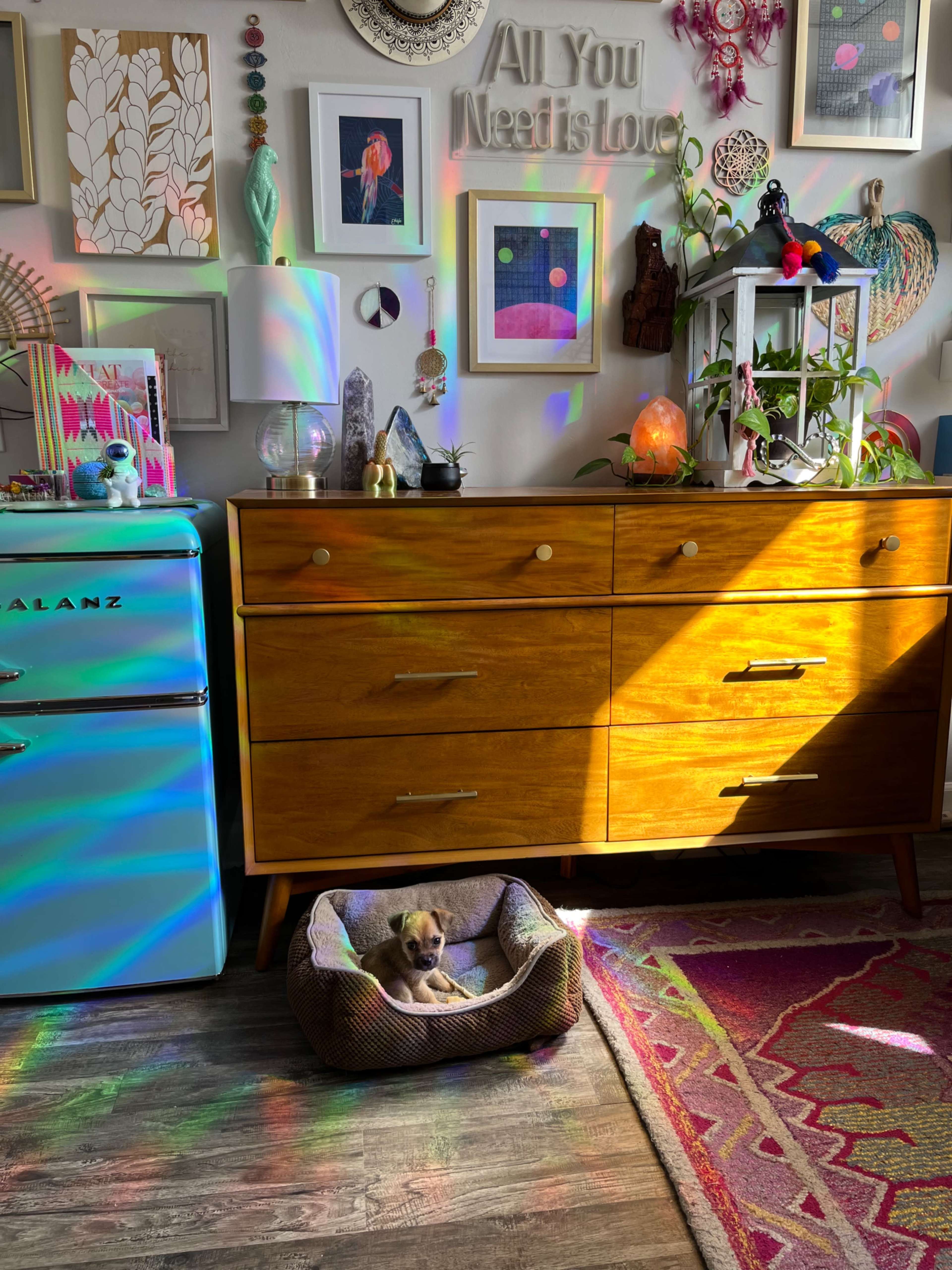 A small dog rests in a bed beneath a wooden dresser, surrounded by colorful light reflections and various decorative items on the walls.