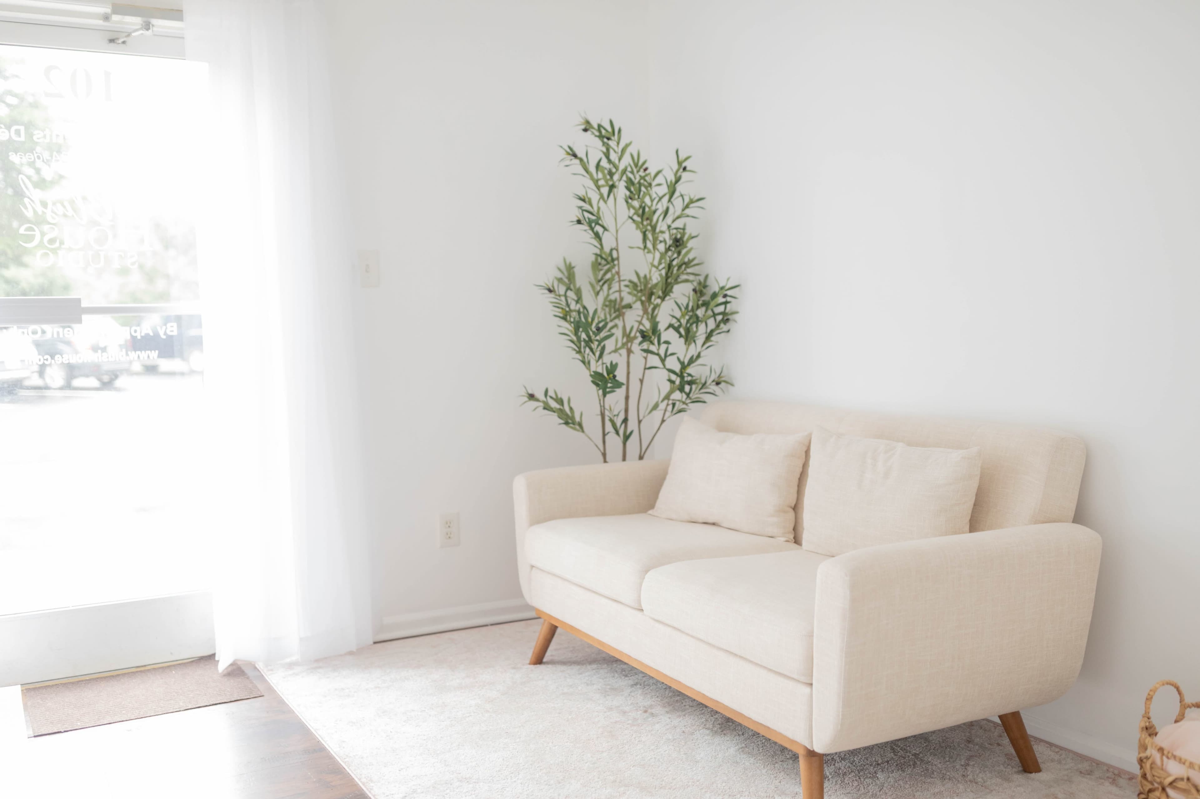 A light-colored sofa with two cushions is positioned near a large window, accompanied by a tall green plant.