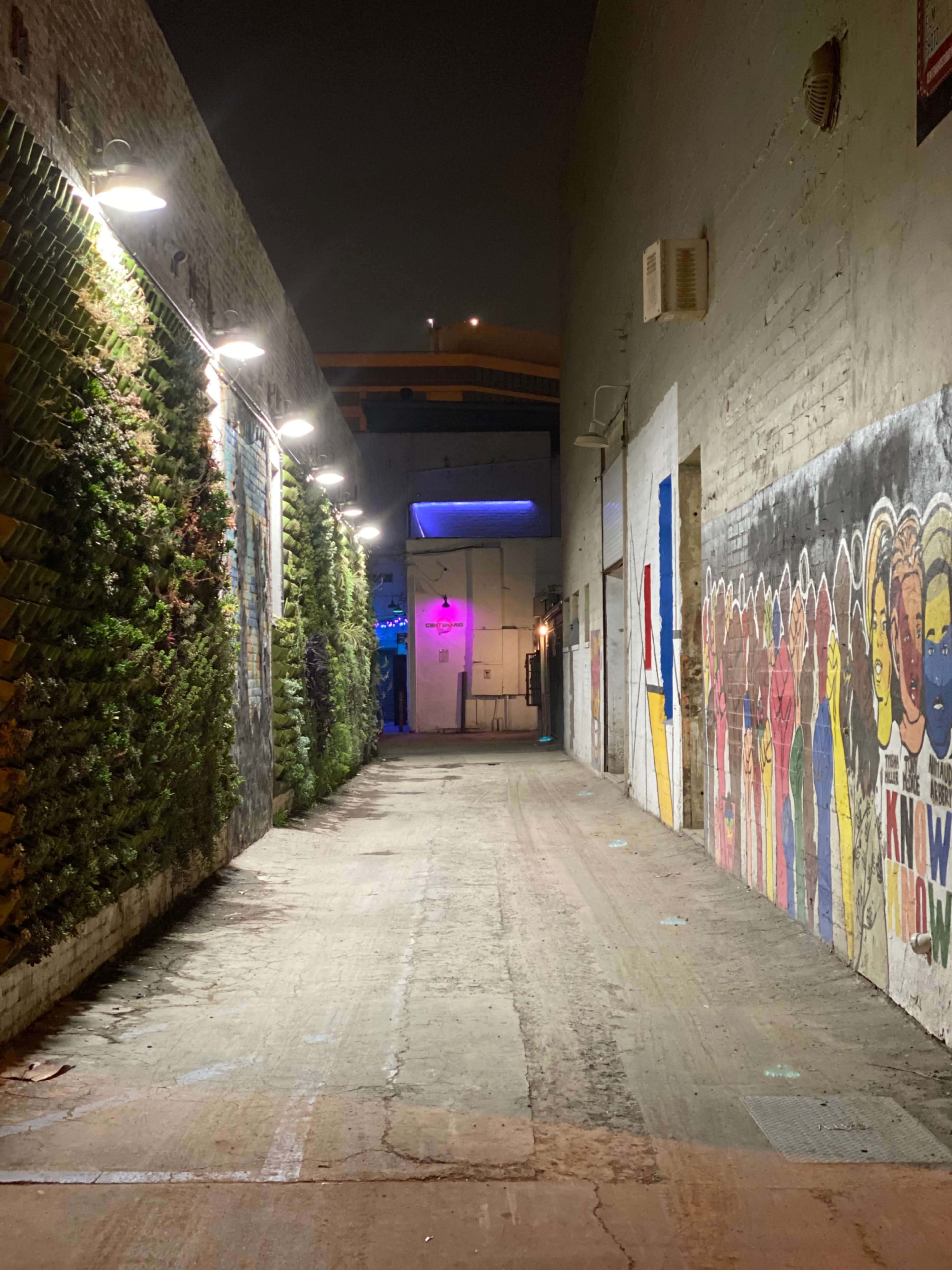 A narrow alleyway features greenery-covered walls on one side and a vibrant mural on the opposite wall, illuminated by overhead lights.