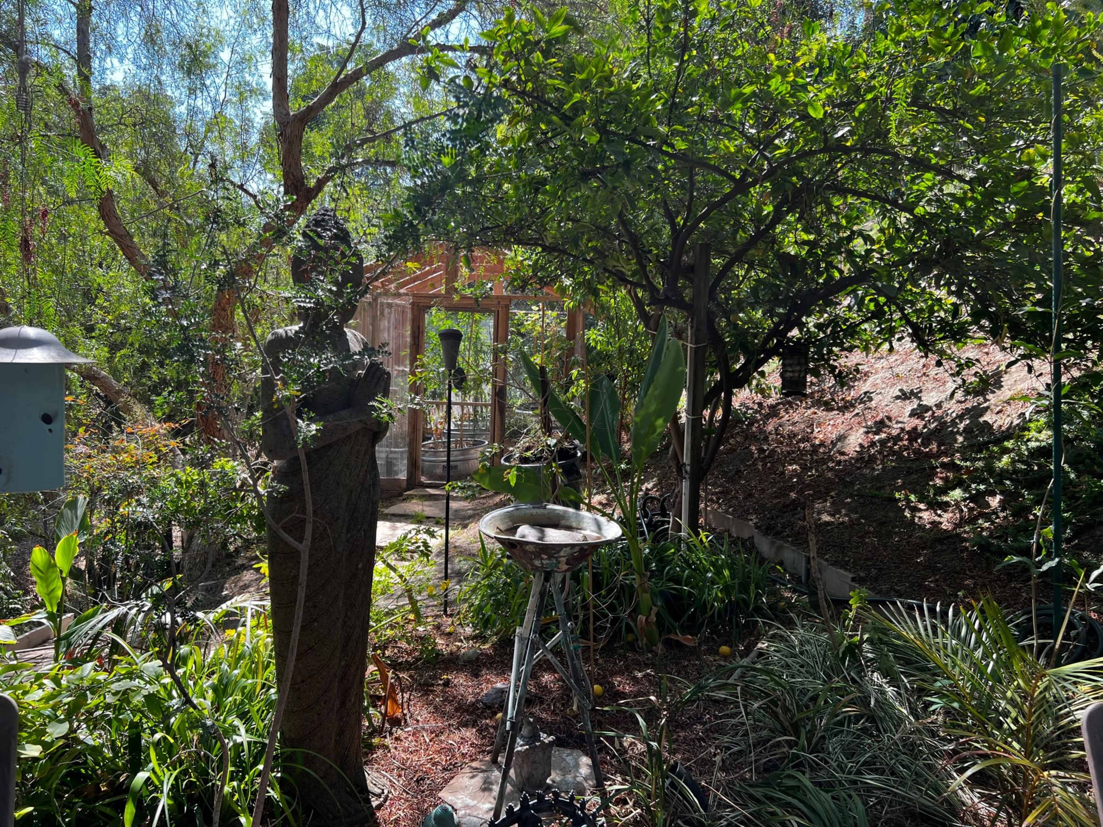 A garden scene features a stone sculpture among lush greenery, with a barbecue grill and a structure partially visible in the background.