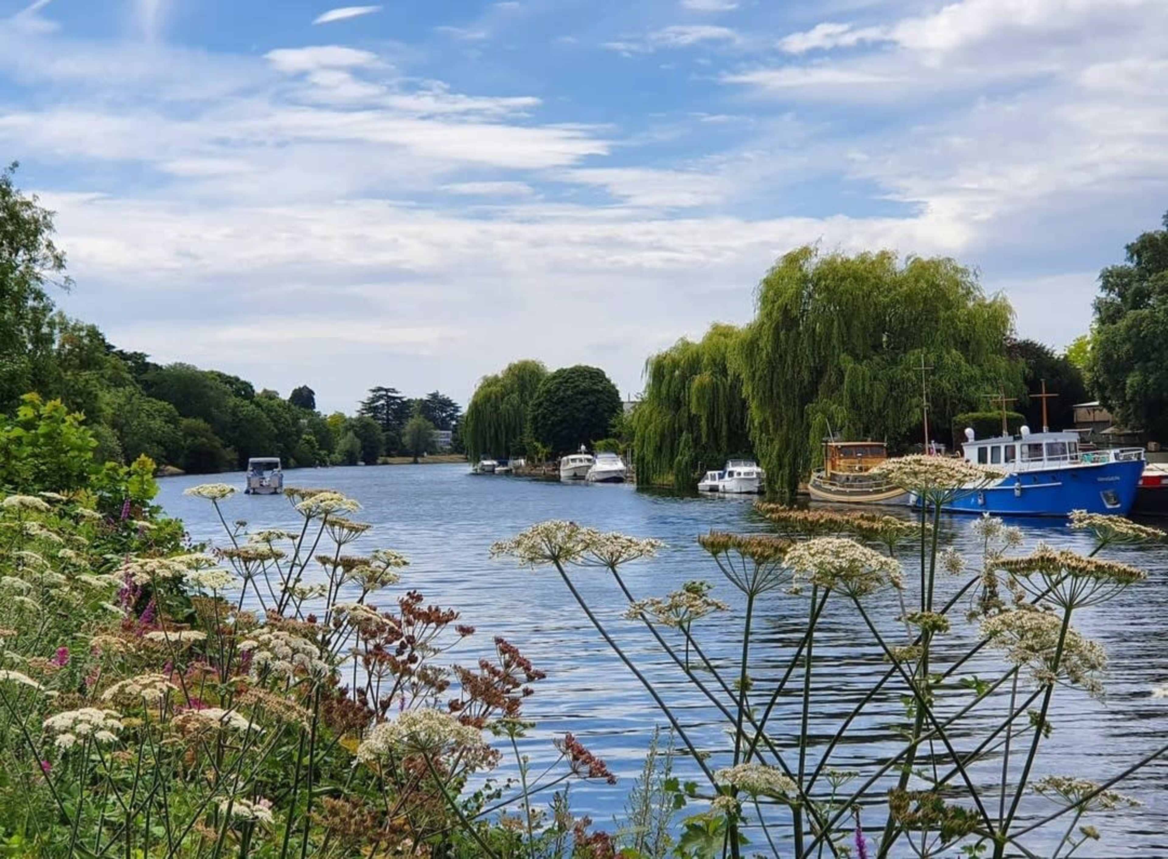A calm river lined with boats and greenery under a partly cloudy sky.