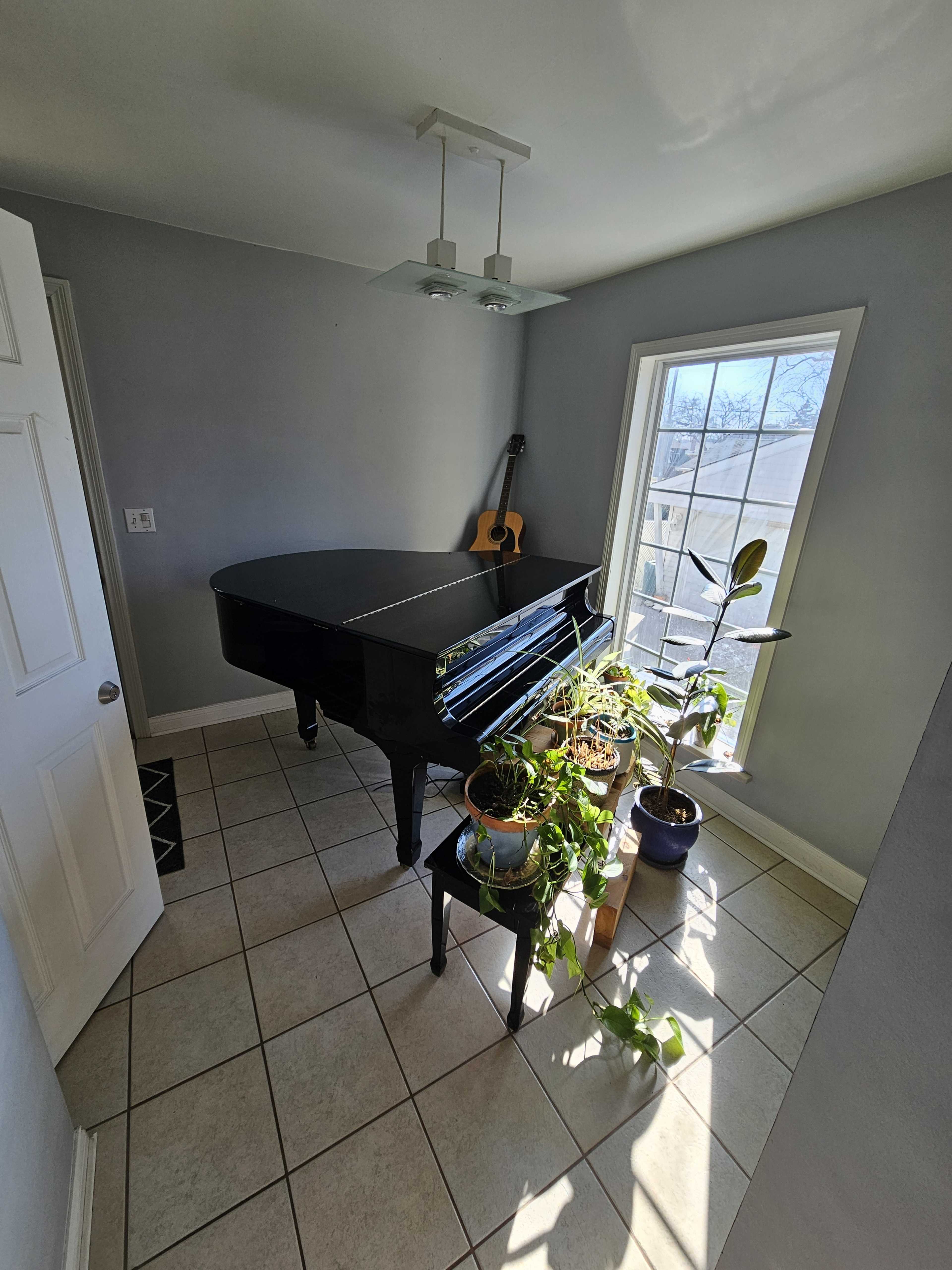 A grand piano is positioned in a well-lit corner of a room, accompanied by a guitar on the wall and several potted plants near a window.
