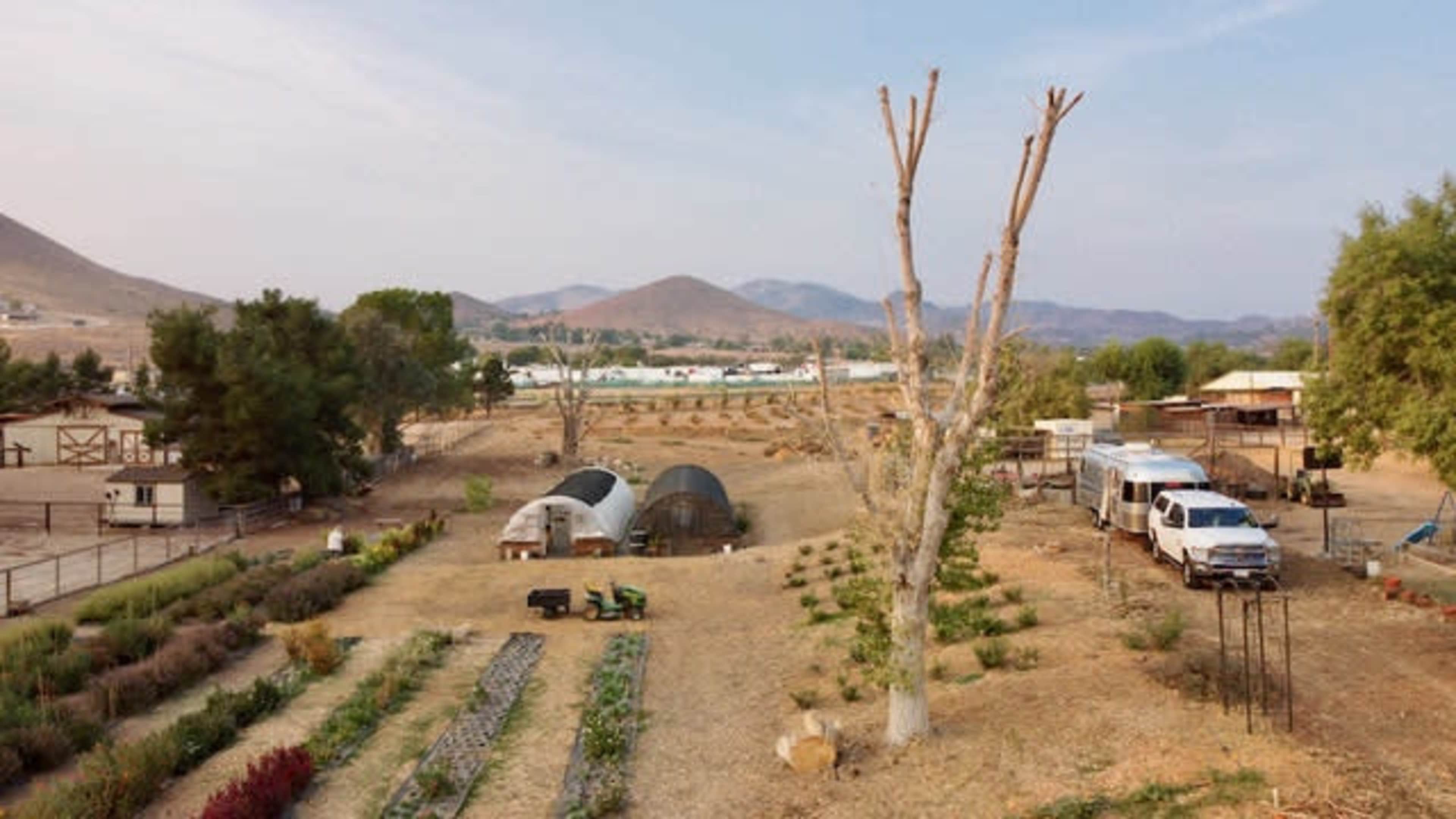 The image shows a rural landscape featuring two greenhouses, several rows of crops, and parked vehicles near a barren tree and distant mountains.