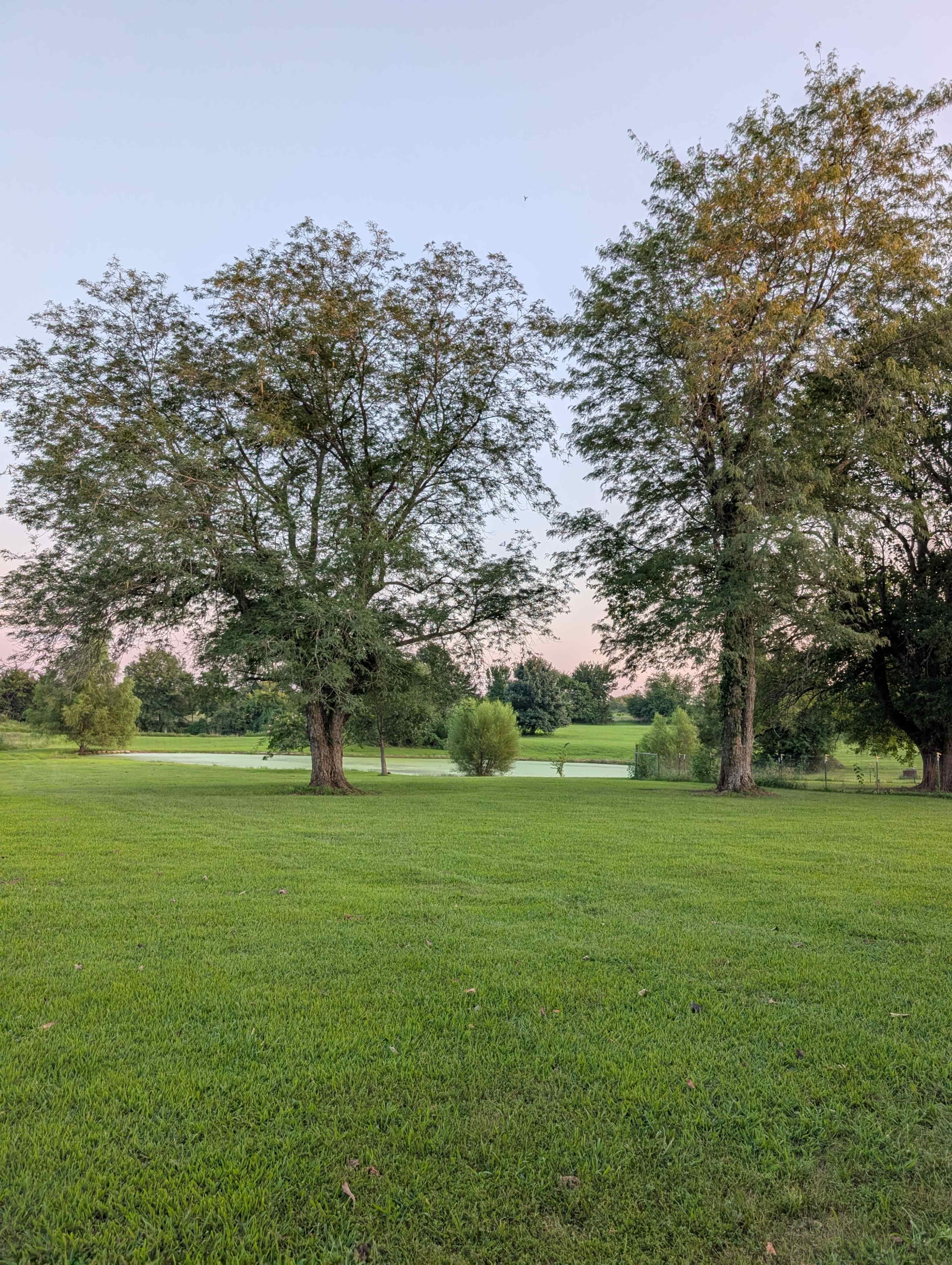 The scene shows a grassy field framed by two large trees, with a golf course visible in the background under a clear sky.