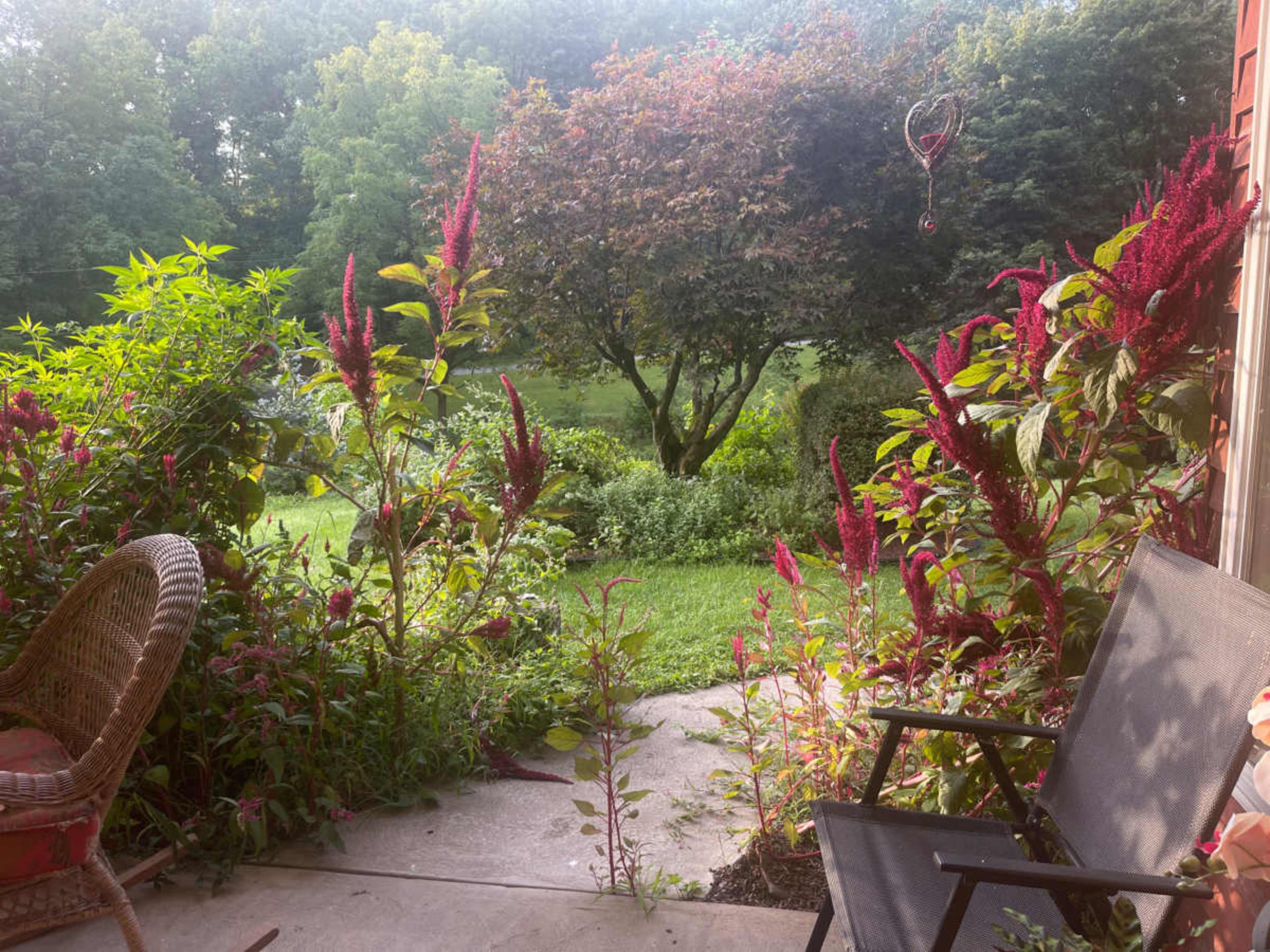 A porch area is surrounded by vibrant flowers and greenery, overlooking a serene lawn and trees in the background.