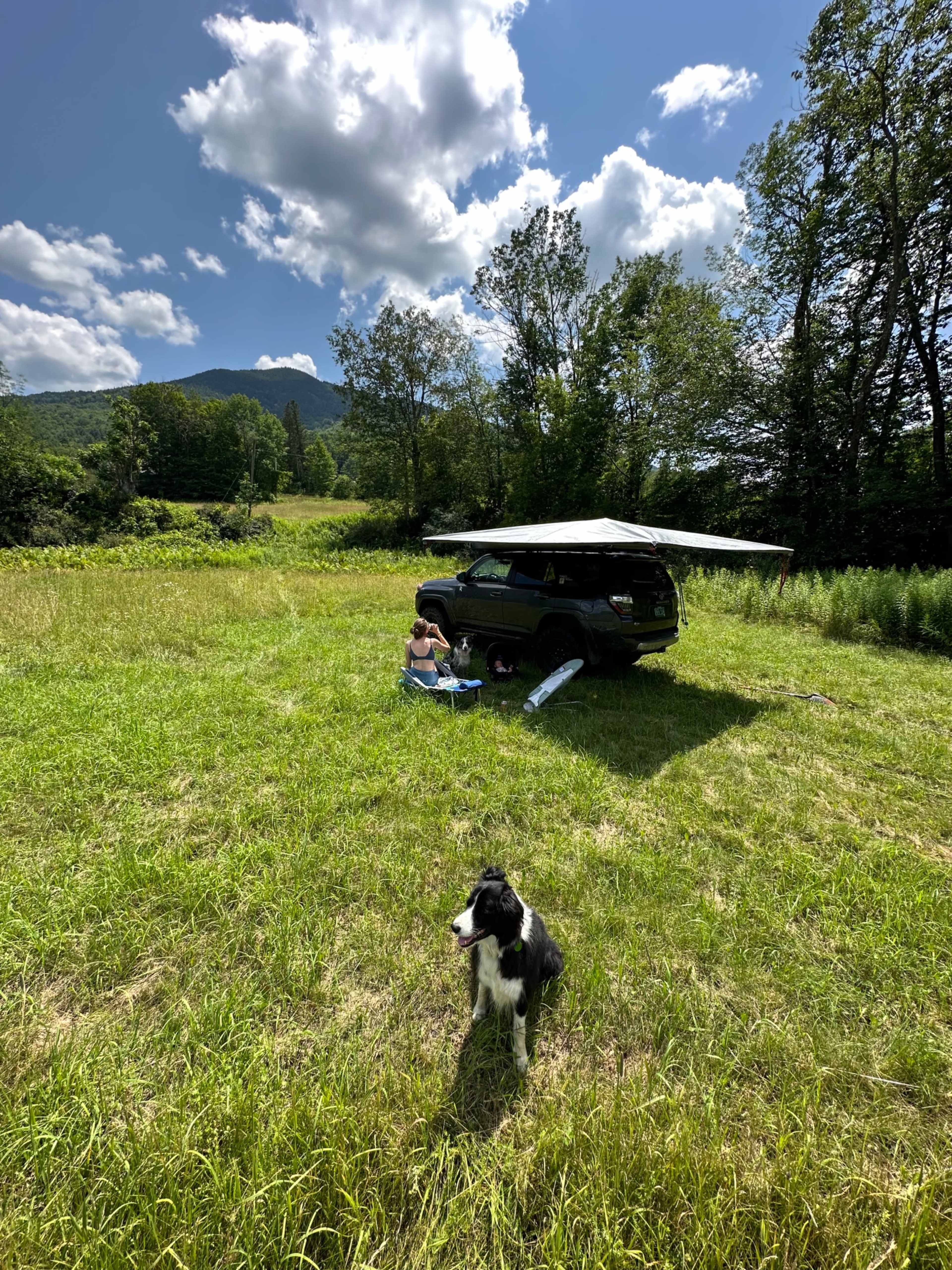 A person sits on a grassy field beside a parked car under a canopy, while a dog stands nearby in the sunlight.