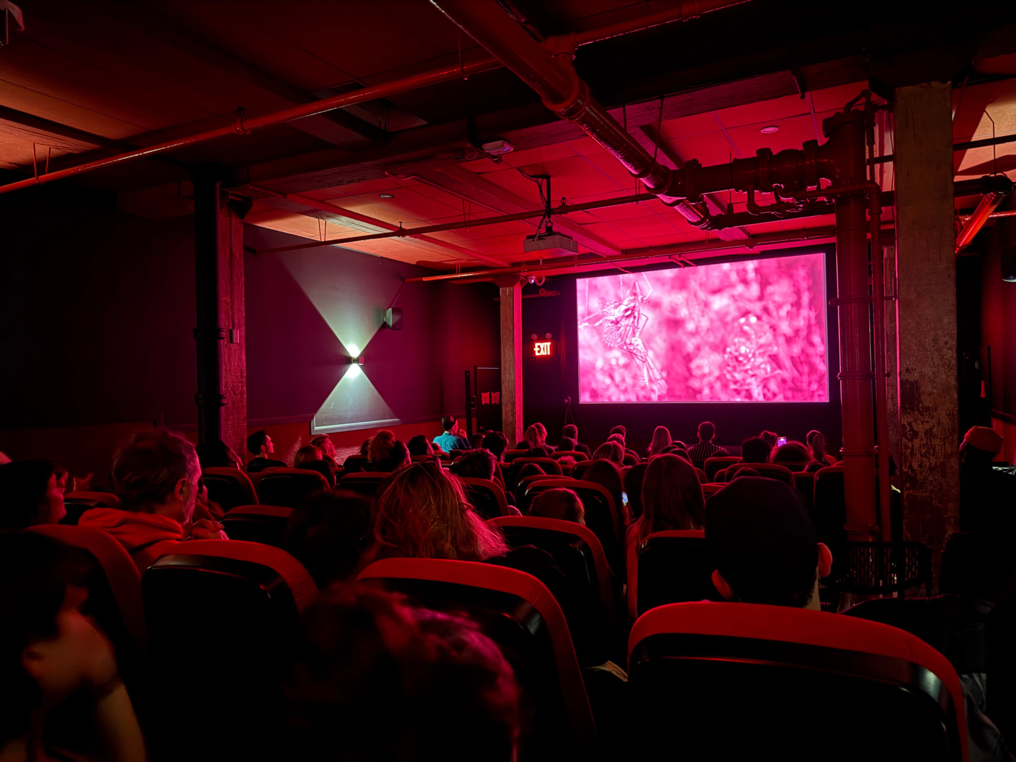 A crowd of viewers sits in a dimly lit theater, facing a large screen displaying vibrant pink visuals.