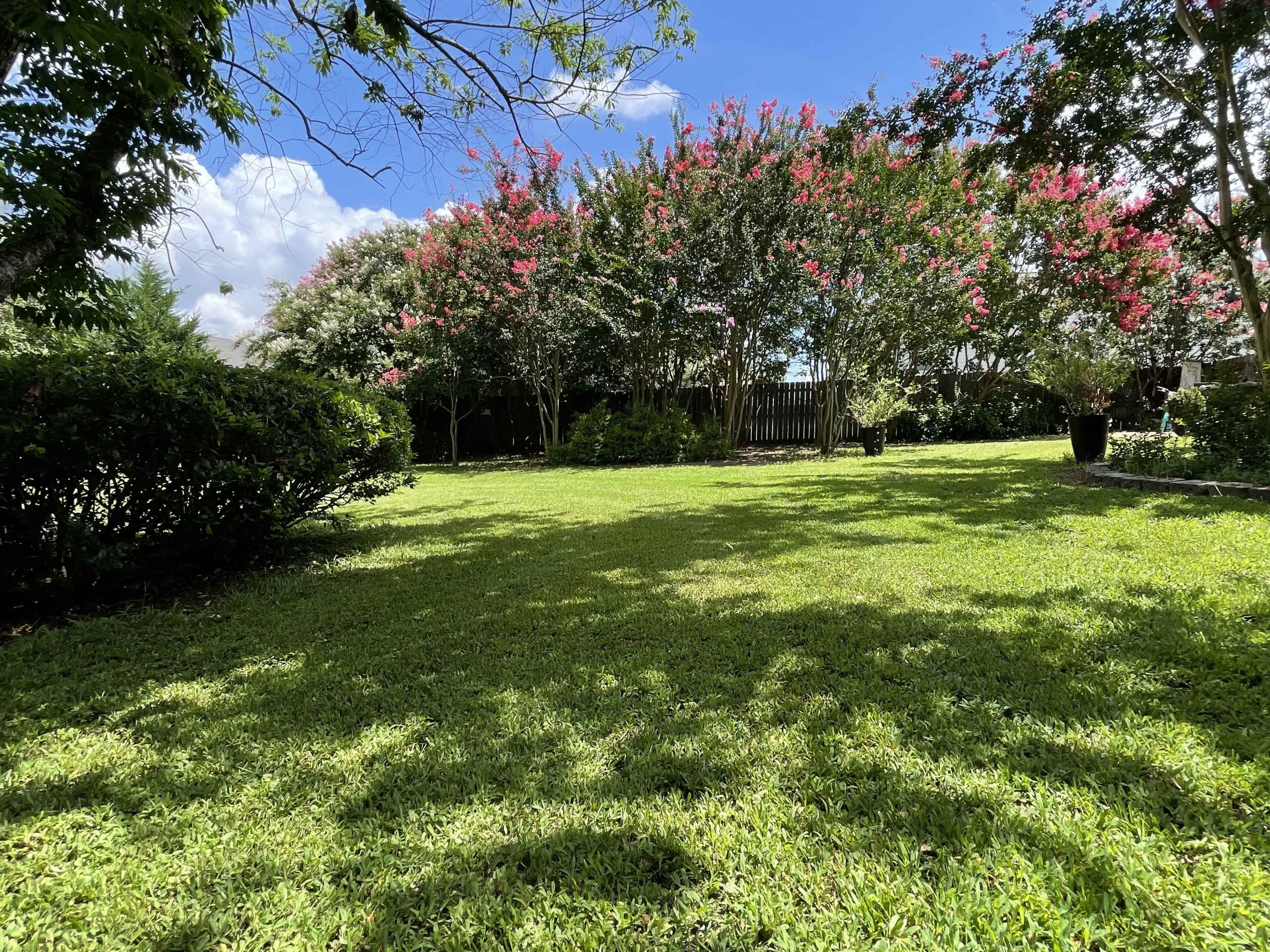 The image shows a grassy backyard with flowering trees in the background under a clear blue sky.