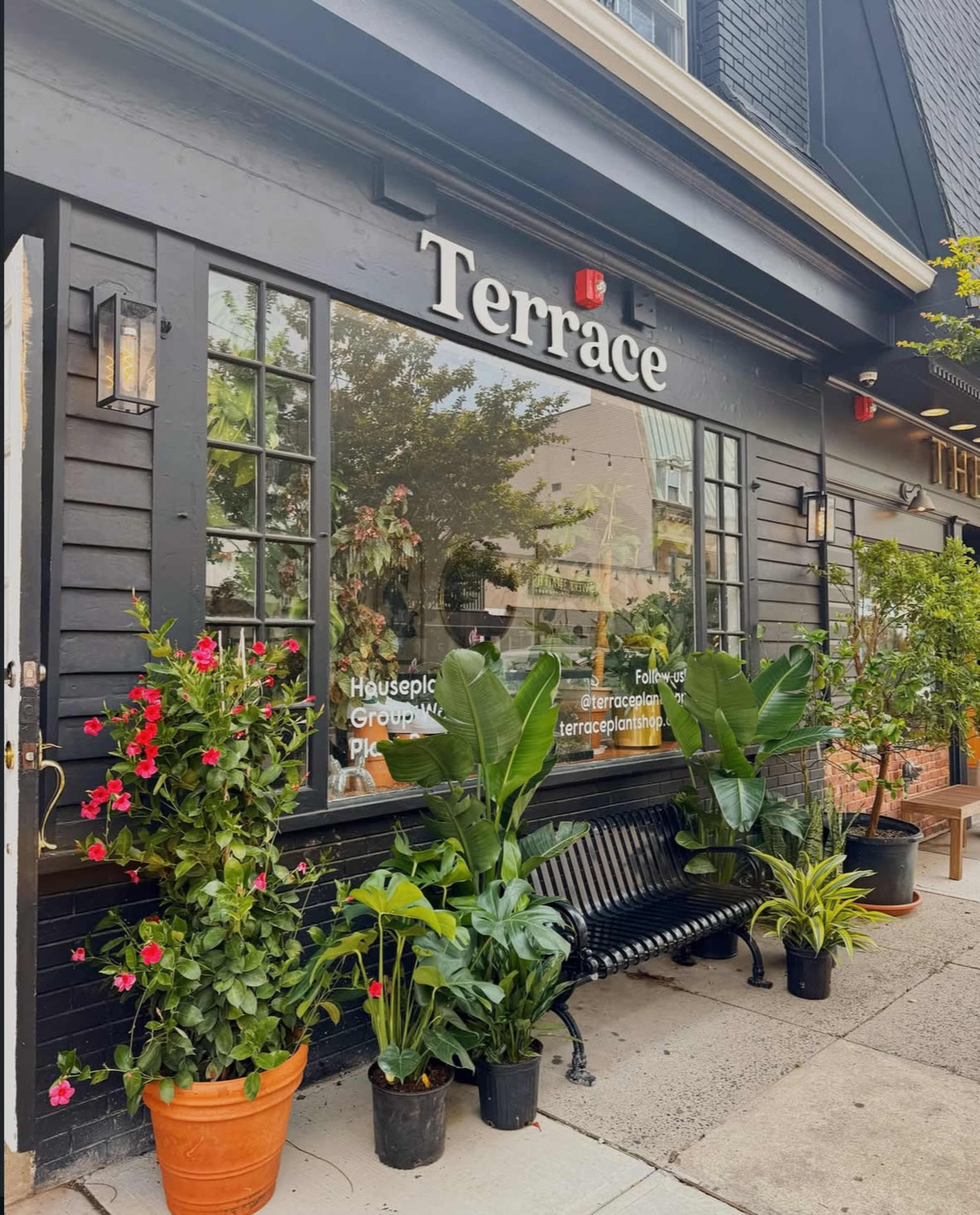 Downtown Green Space Image in Westfield, Westfield, NJ