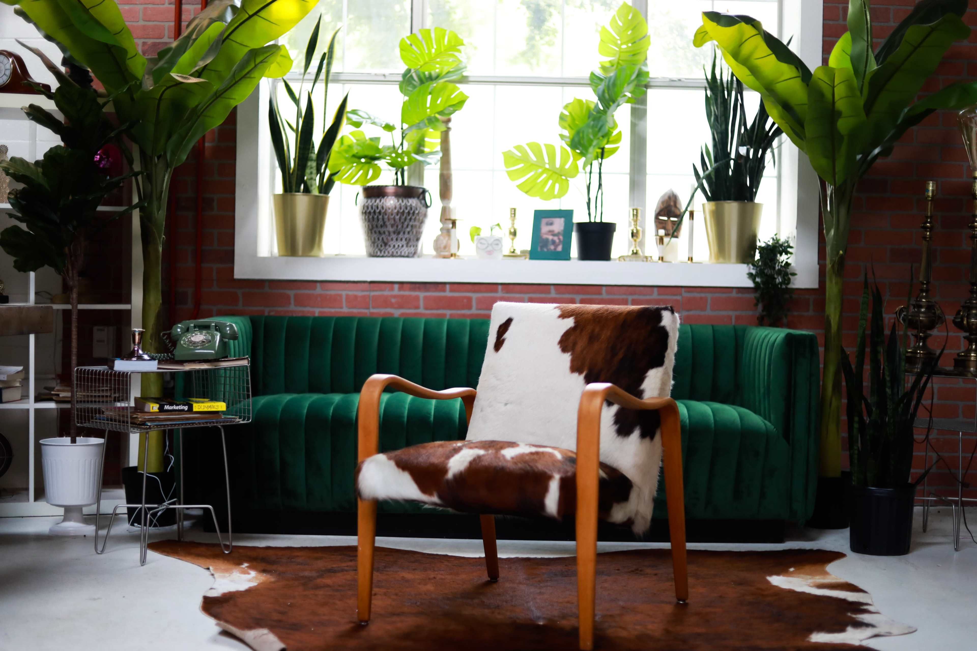 A wooden chair covered with cowhide is placed on a brown rug in a room featuring a green velvet sofa and large potted plants by a window.