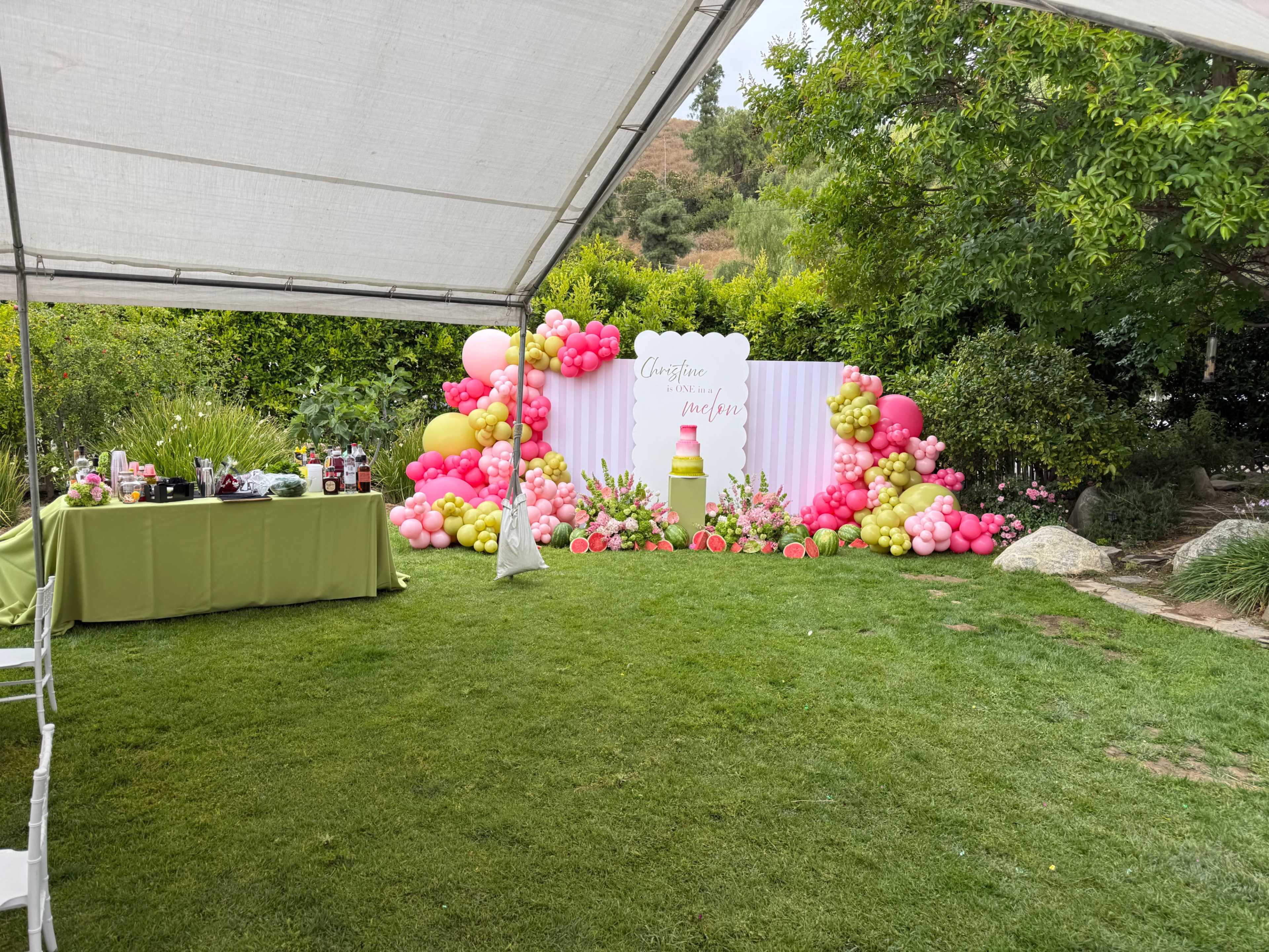 The scene features a party setup with a decorative backdrop of colorful balloons and a themed sign, set in a grassy outdoor area under a white tent.