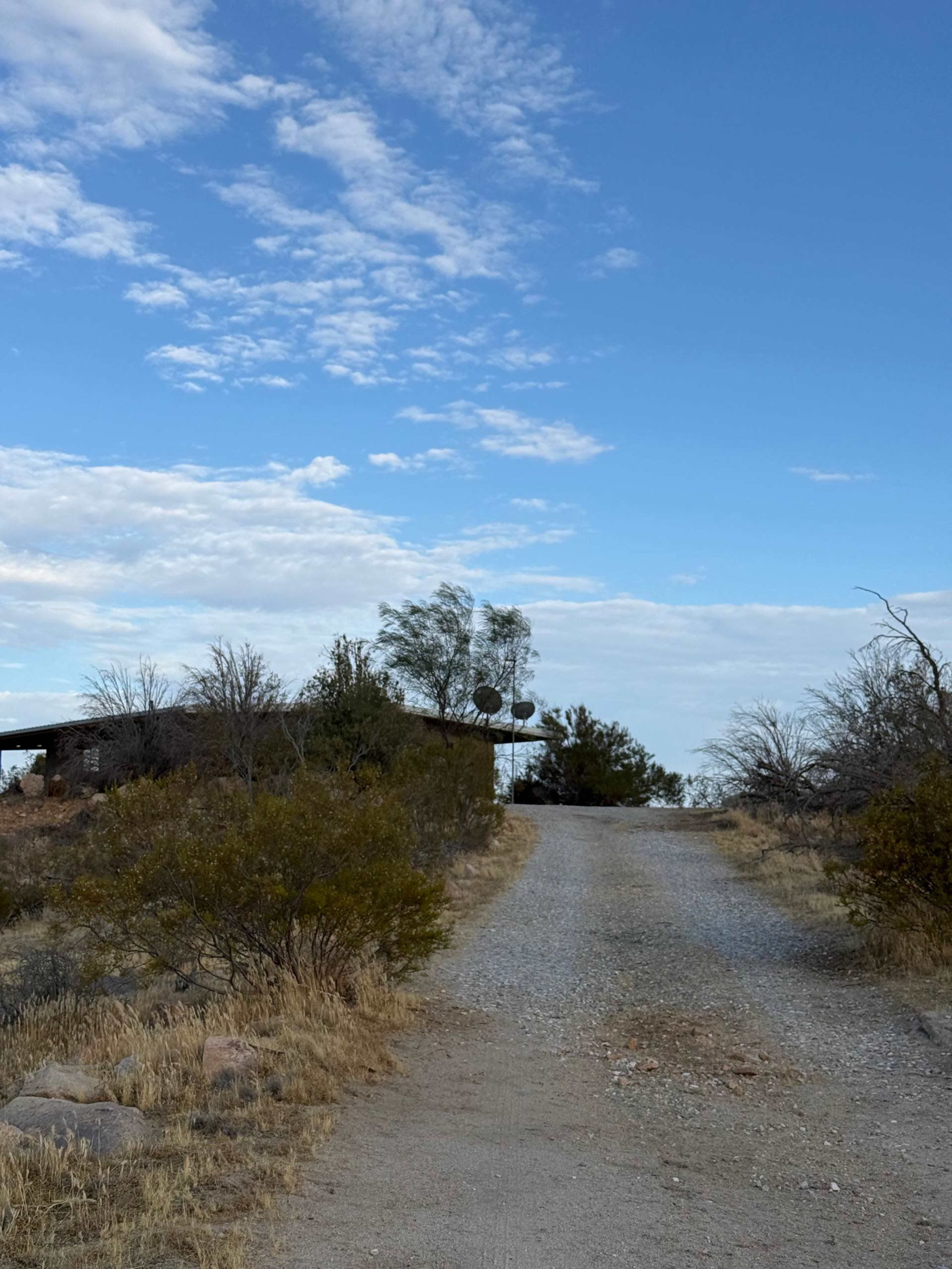 A gravel road leads up to a building partially obscured by trees under a blue sky with scattered clouds.