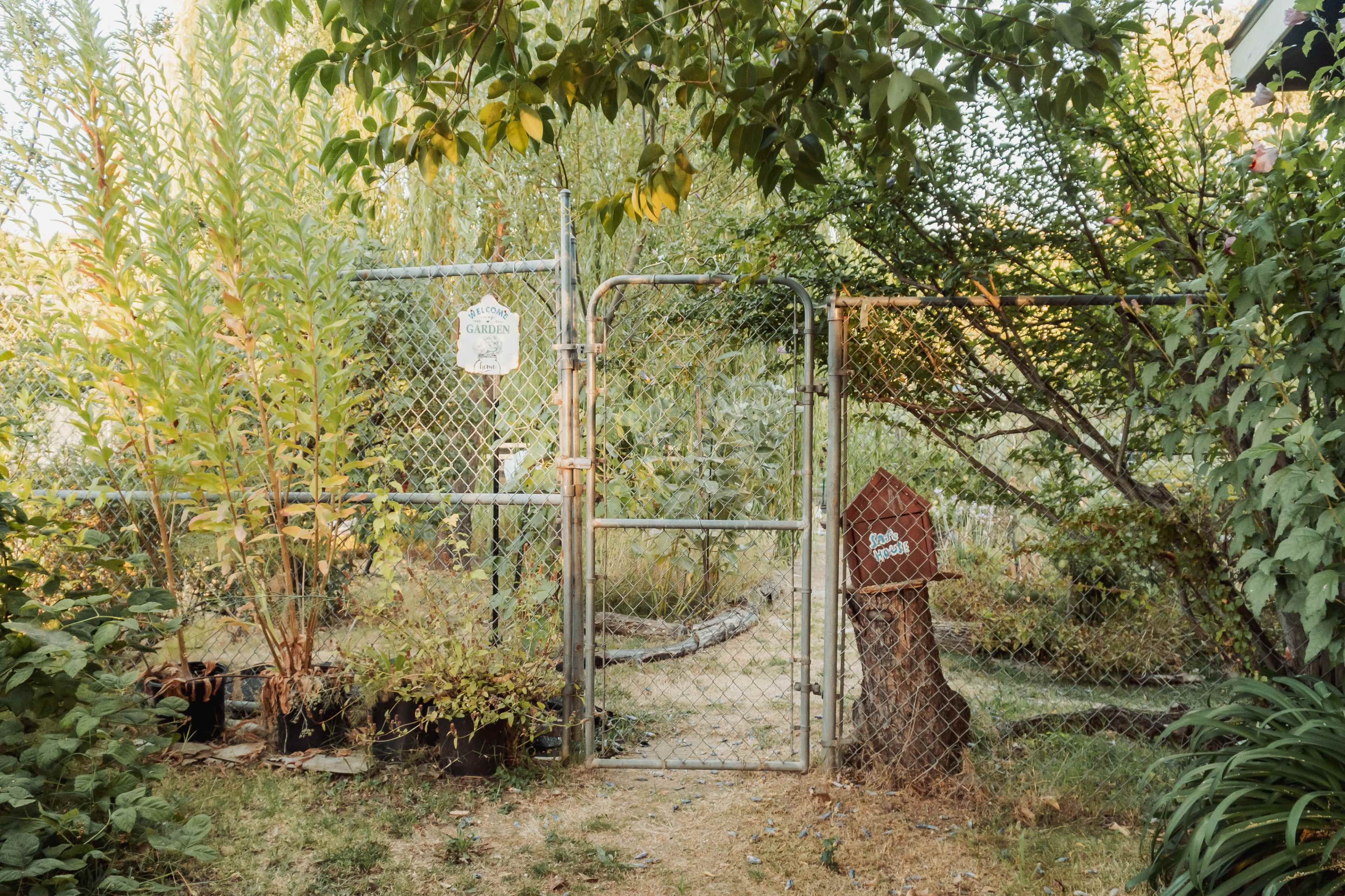 Year-Round Private Outdoor Garden Studio (comes with photographer) Image in Rocklin, Rocklin, CA