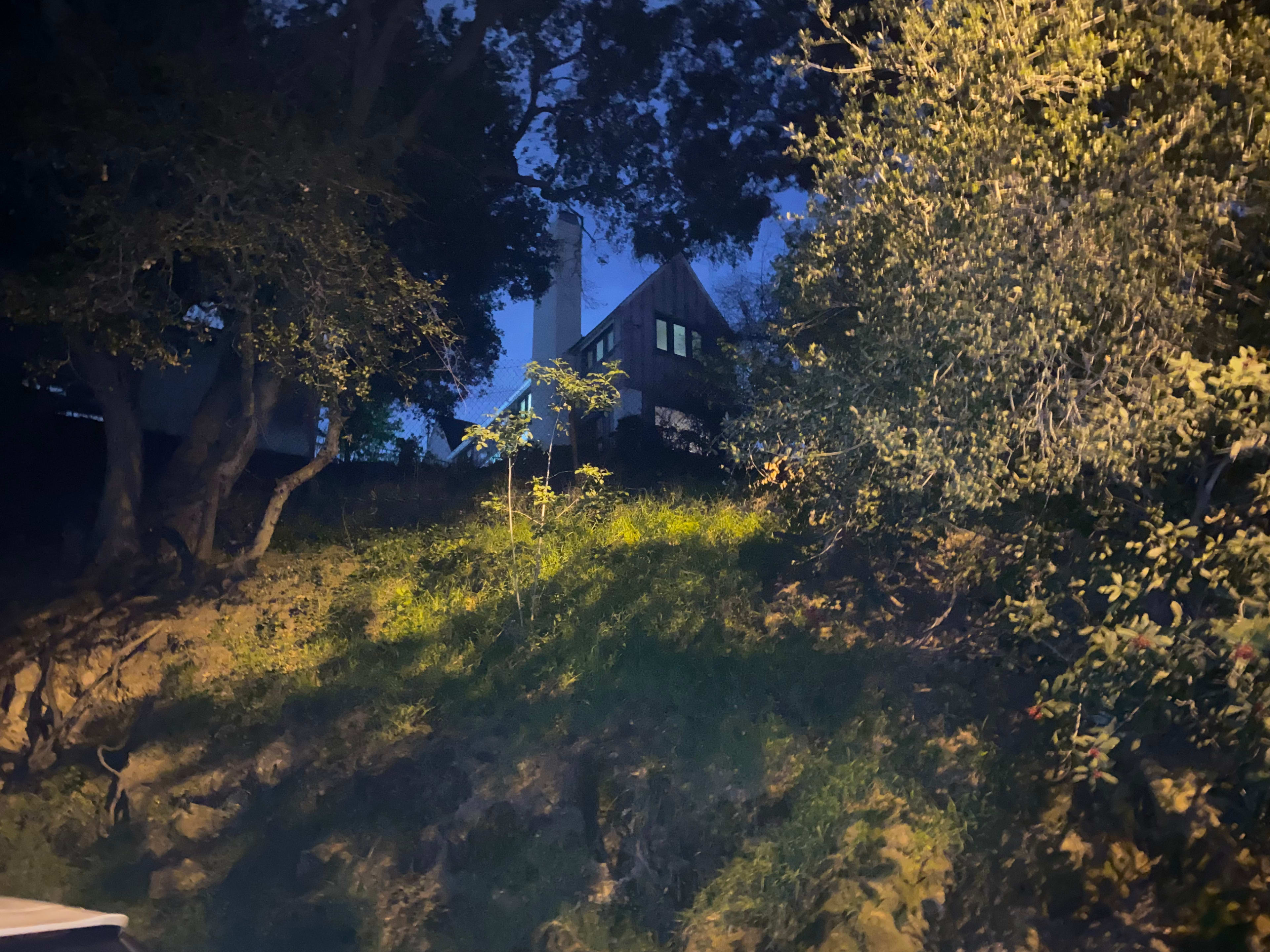 A wooden house is situated on a hillside, surrounded by trees under a dusk sky.