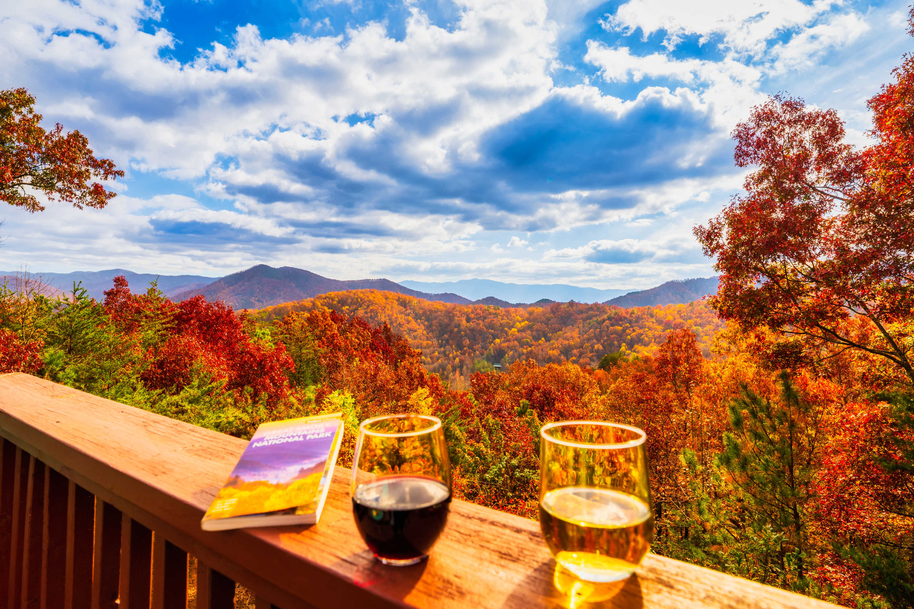 Two glasses of wine and a book rest on a wooden railing, overlooking a vibrant autumn landscape with mountains in the distance under a cloudy sky.