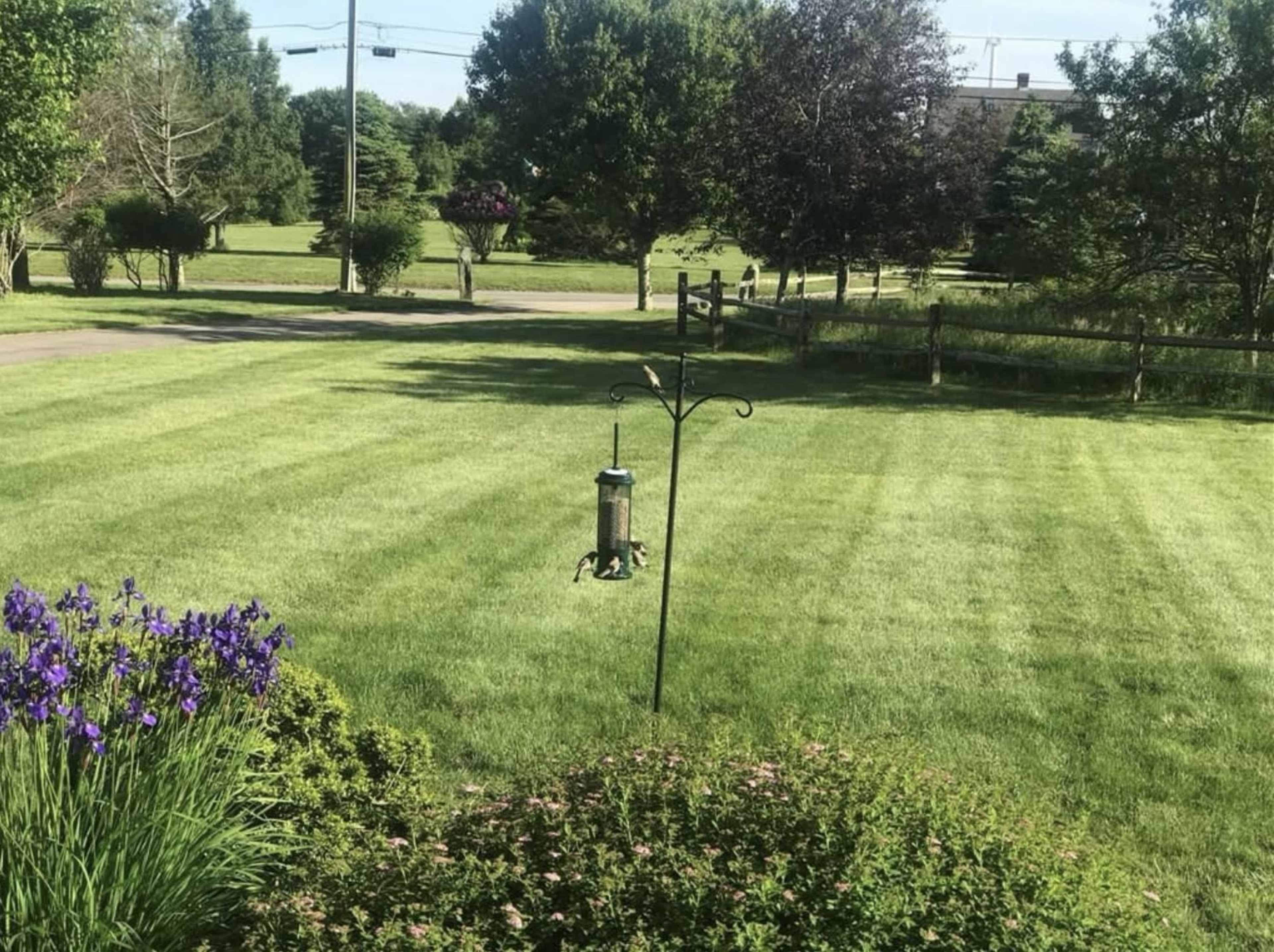 Modern Cape on 2 acres near the beach Image in Narragansett, Narragansett, RI