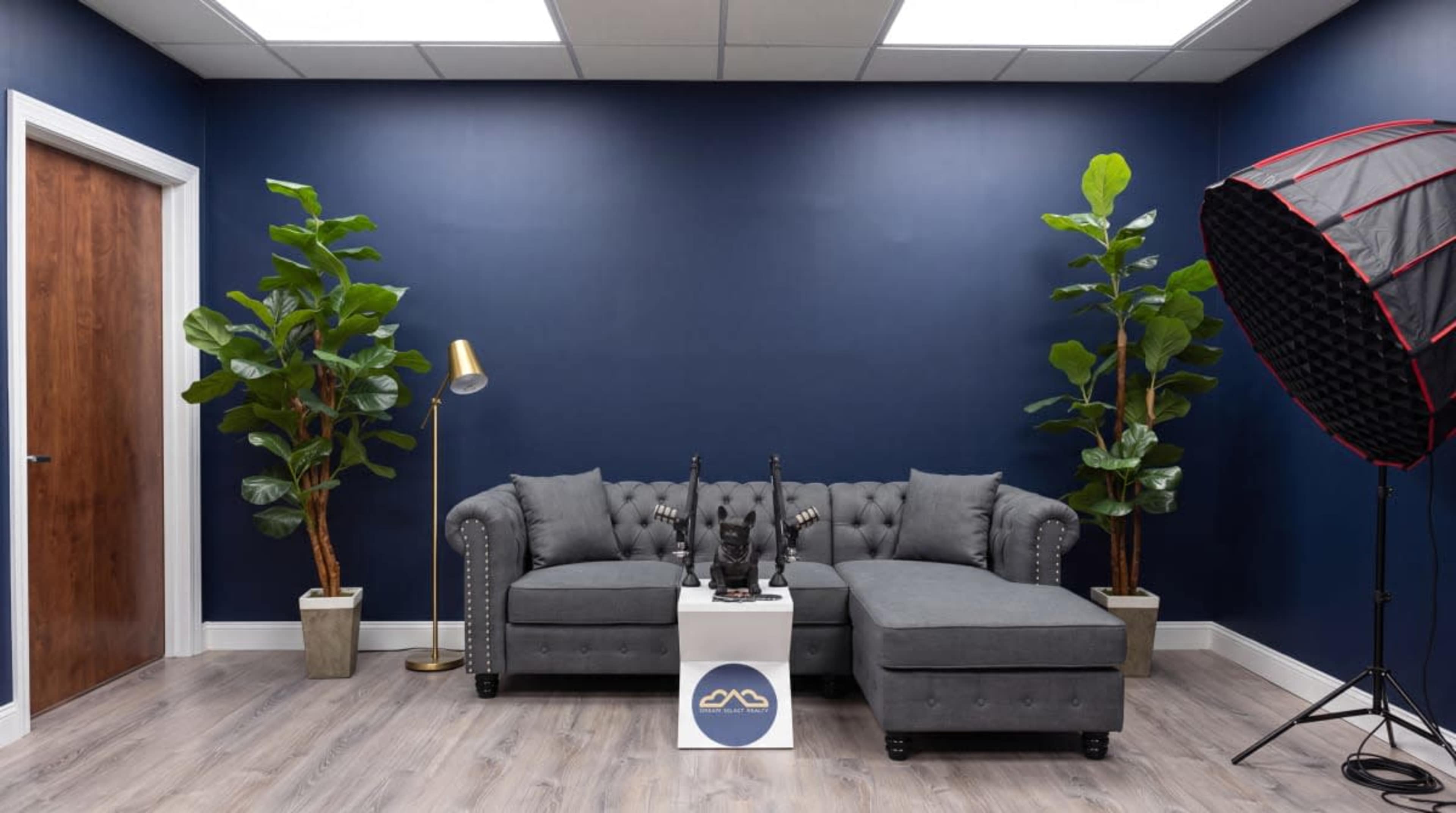 Spacious Bohemia Podcast Studio with Pro Audio & Lighting Image in Islip, Bohemia, NY