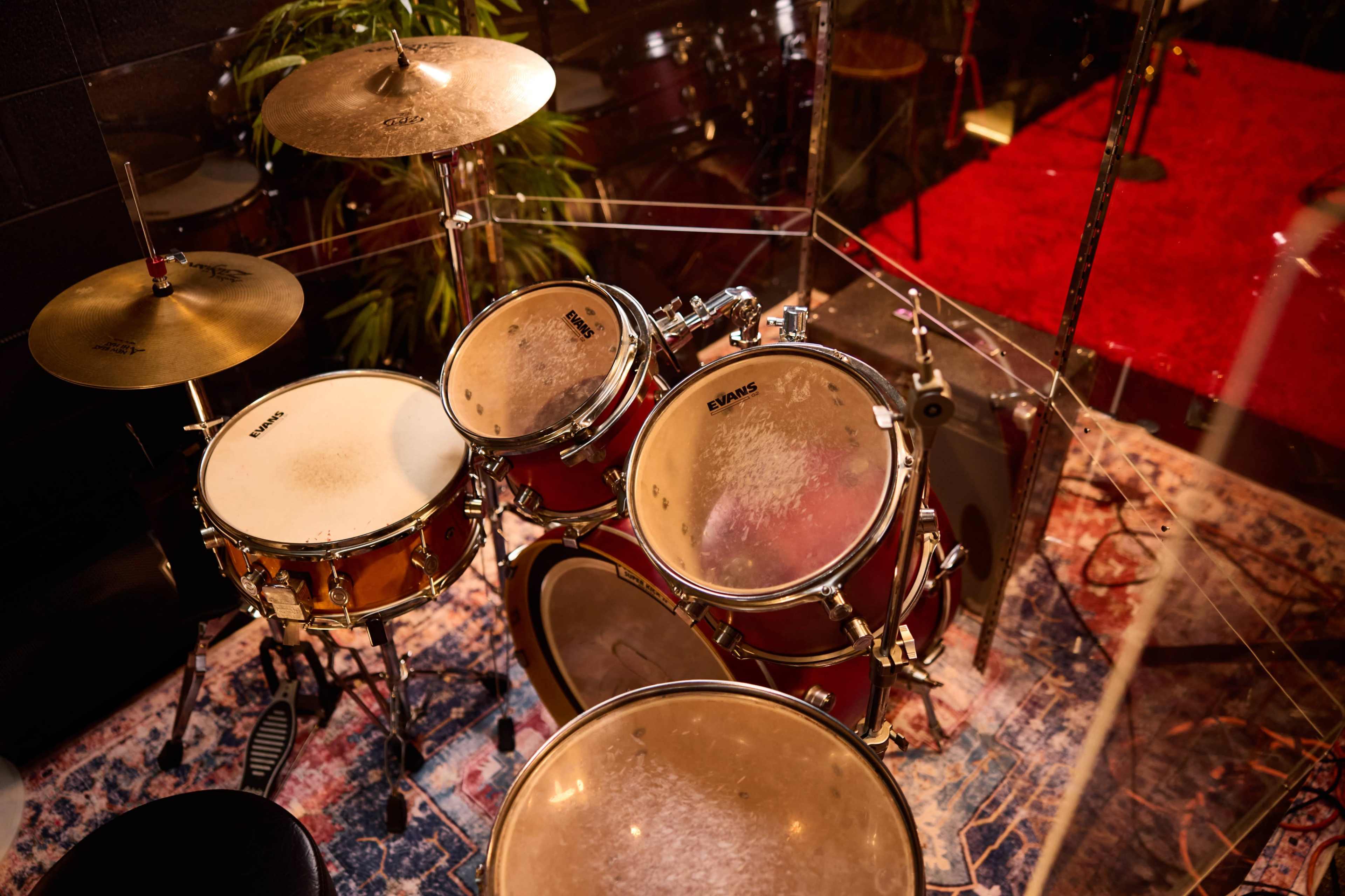 A close-up view of a drum set enclosed in a glass sound booth, with a patterned rug underneath and green plants nearby.