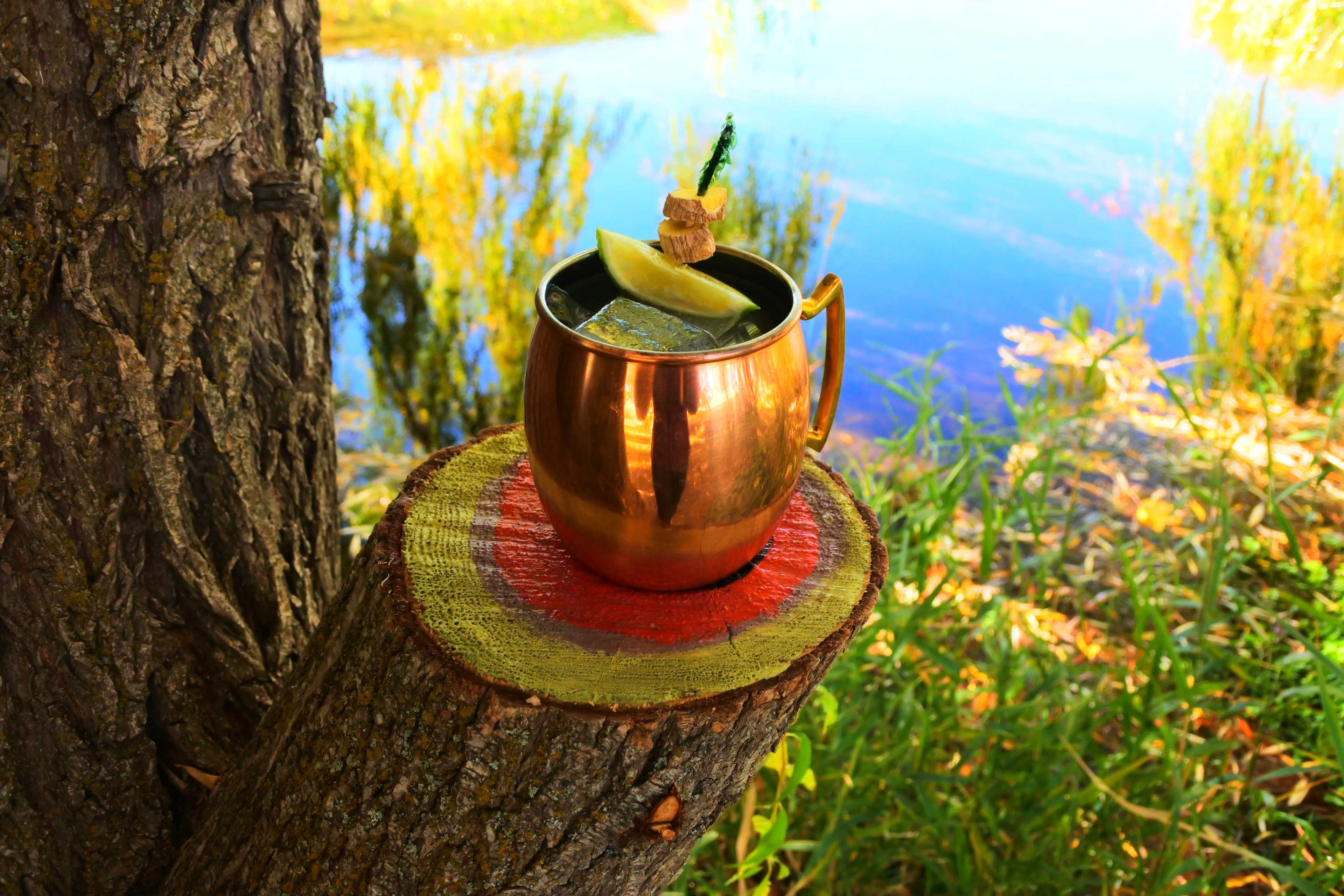 A copper mug filled with a drink and garnished with a lime slice sits on a painted log beside a body of water surrounded by greenery.