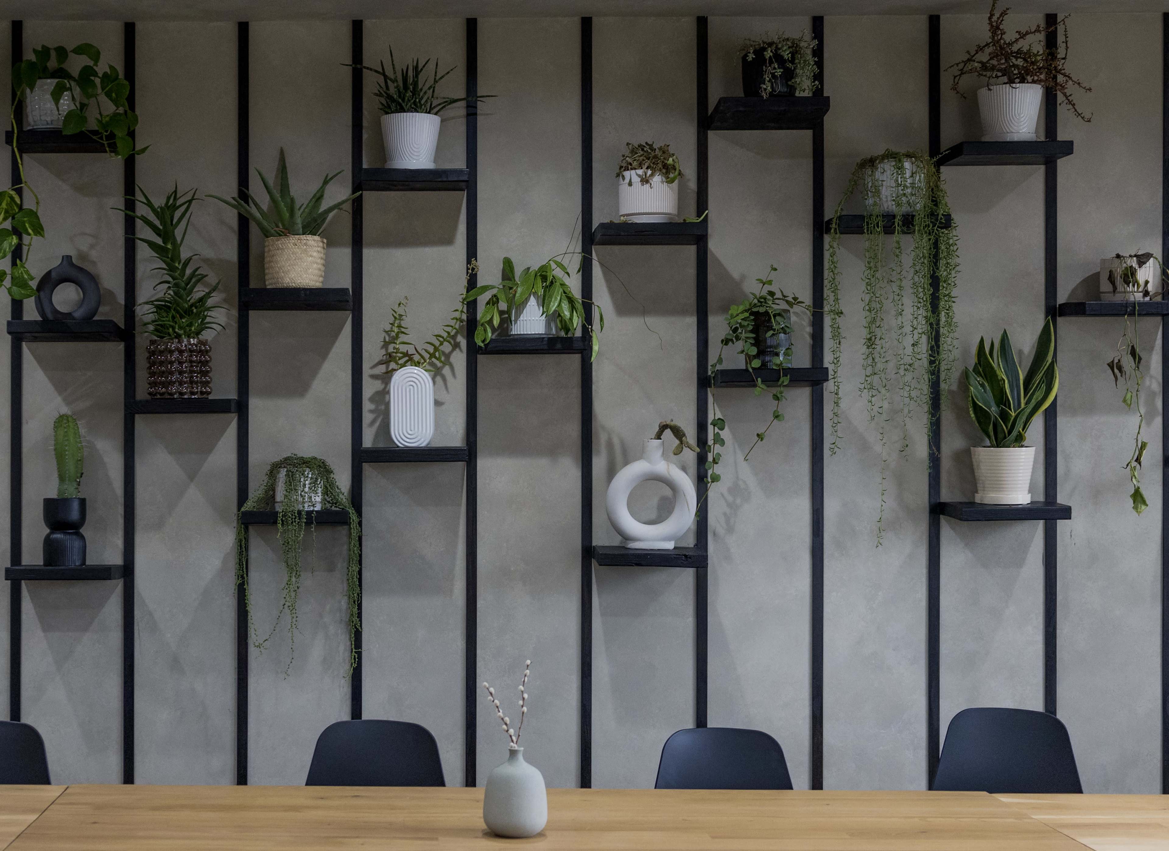 A modern interior wall featuring a series of black shelves filled with various potted plants and decorative objects, alongside a wooden dining table and minimalist chairs.