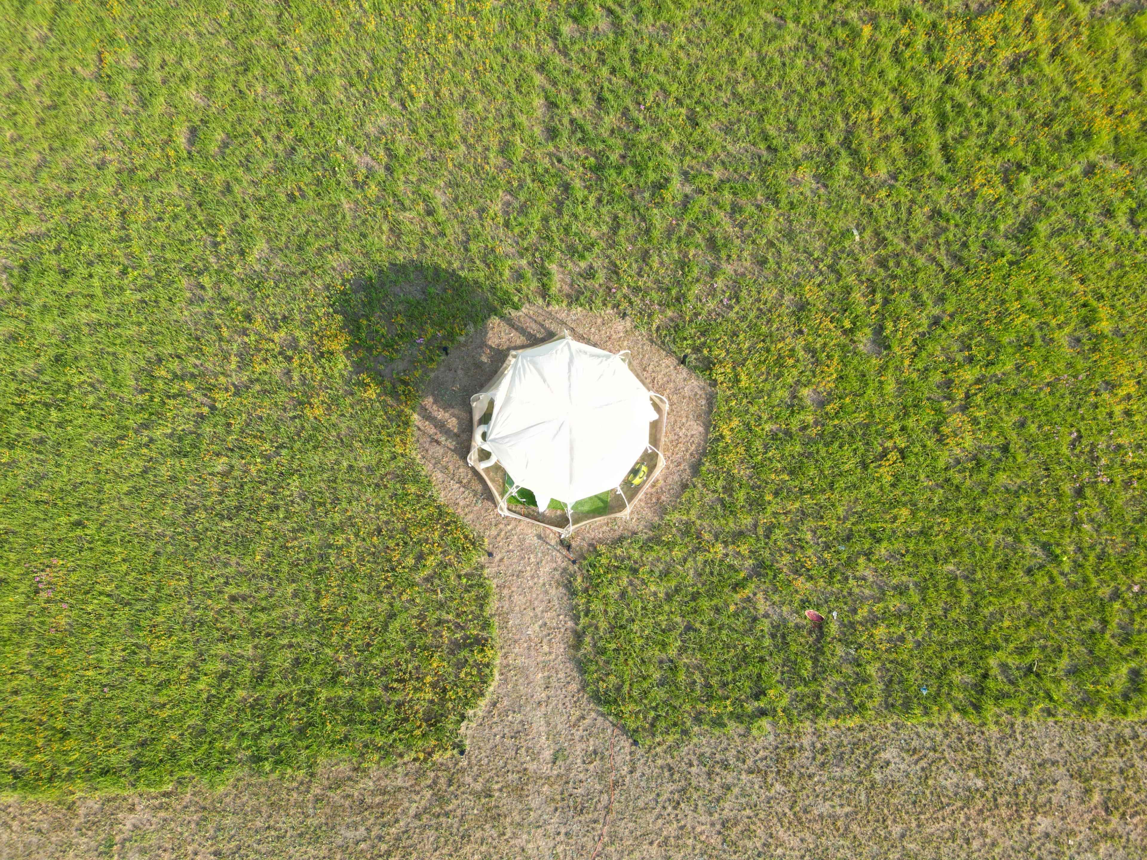 The Bubble Tent Experience Image in Ennis, Ennis, TX