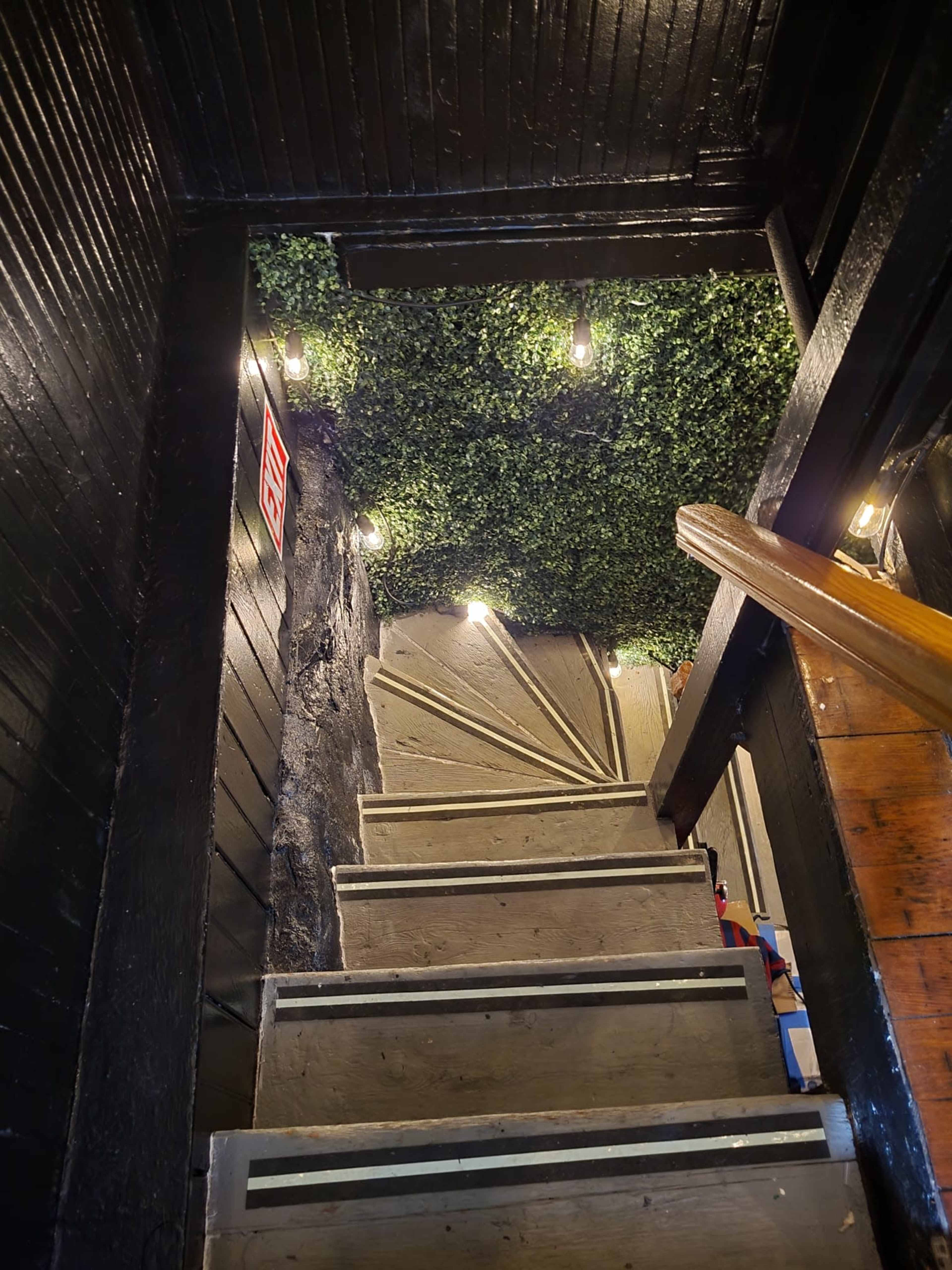 A staircase with wooden steps leads upward under a ceiling covered in greenery and illuminated by overhead lights.